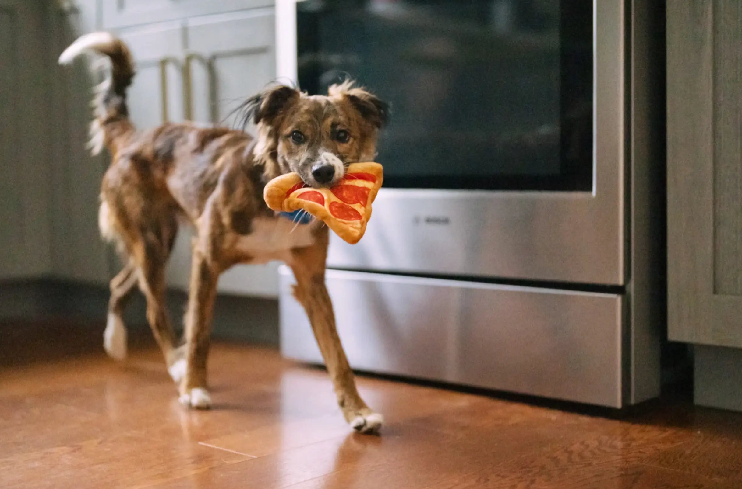 Snack Attack Puppy-roni Pizza XS P.L.A.Y