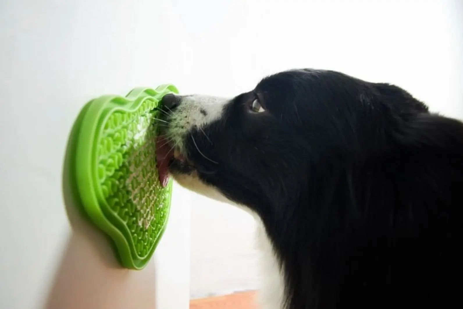 Pet Dream House - Paw Lick Pad Green Easy Pet Dream House