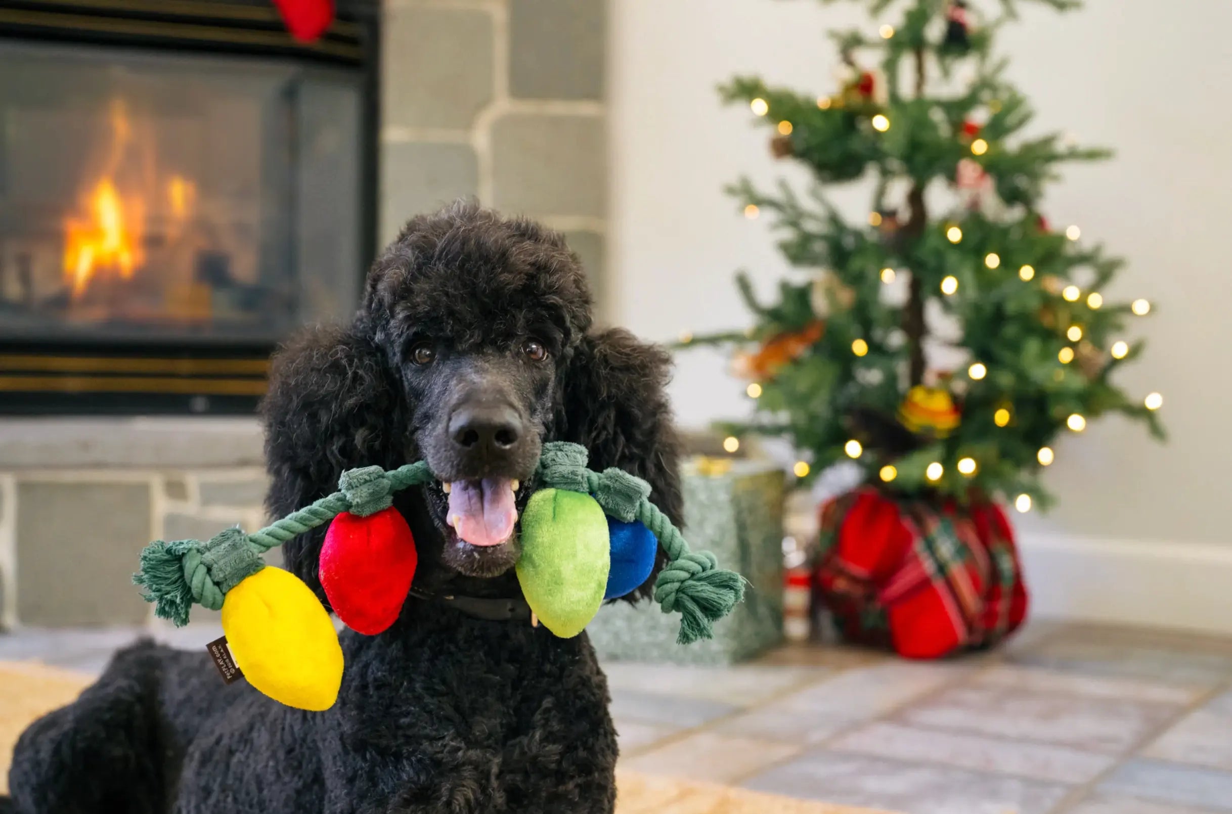 Home for the Holidays Twinkly Tugger P.L.A.Y