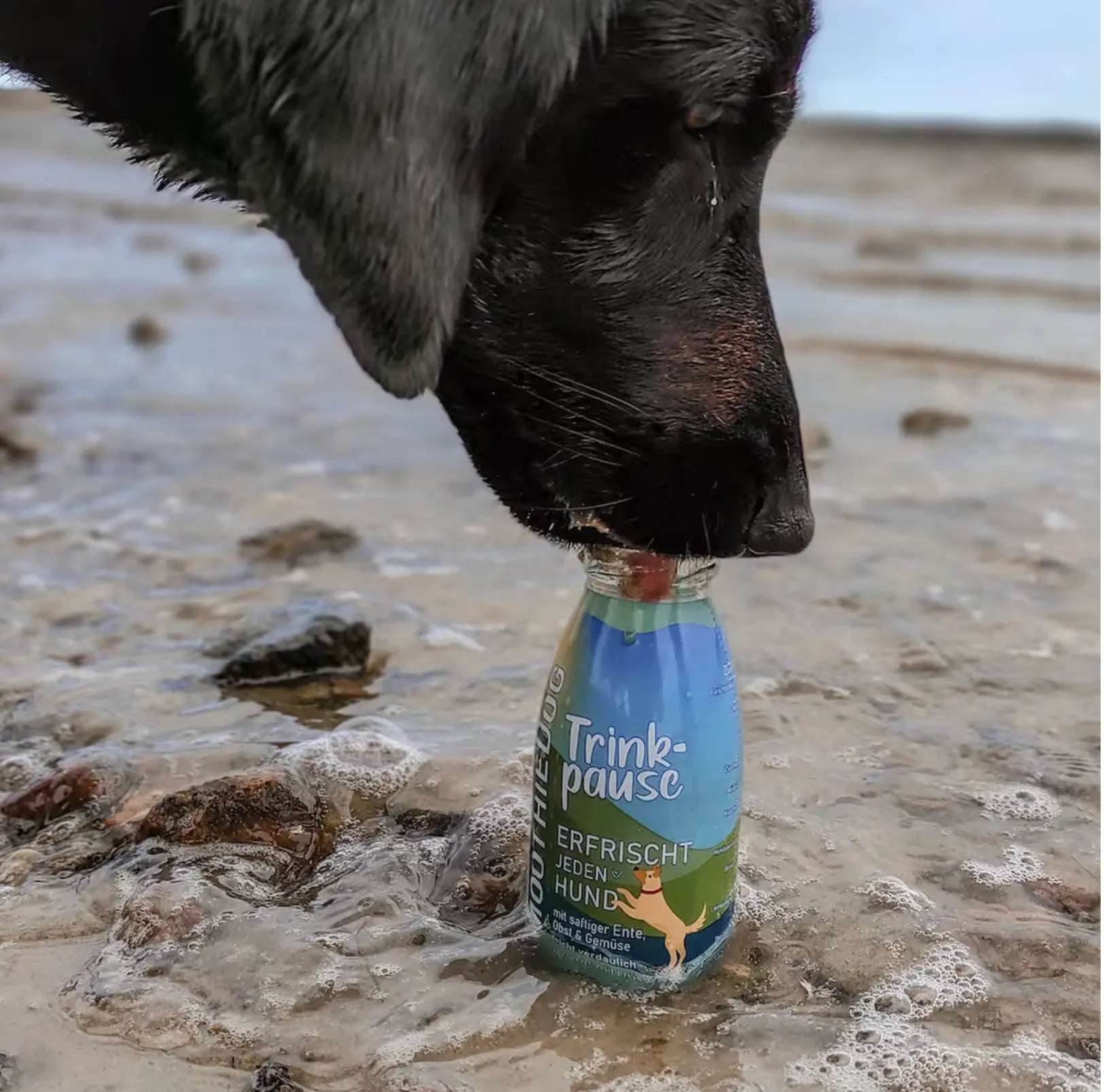 SmoothieDog Drink Pause Duck 250ml - smoothie dla psa, kaczka z warzywami SmoothieDog