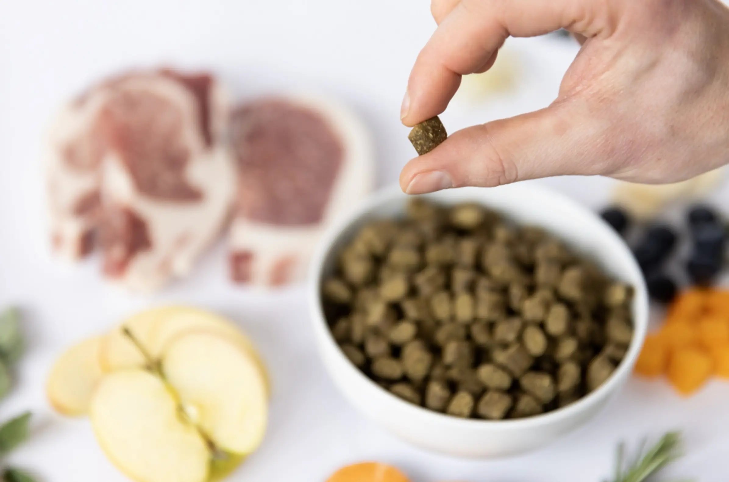 YDOLO Pure Iberico – półwilgotna karma dla psów dorosłych z wieprzowiną 10kg YDOLO