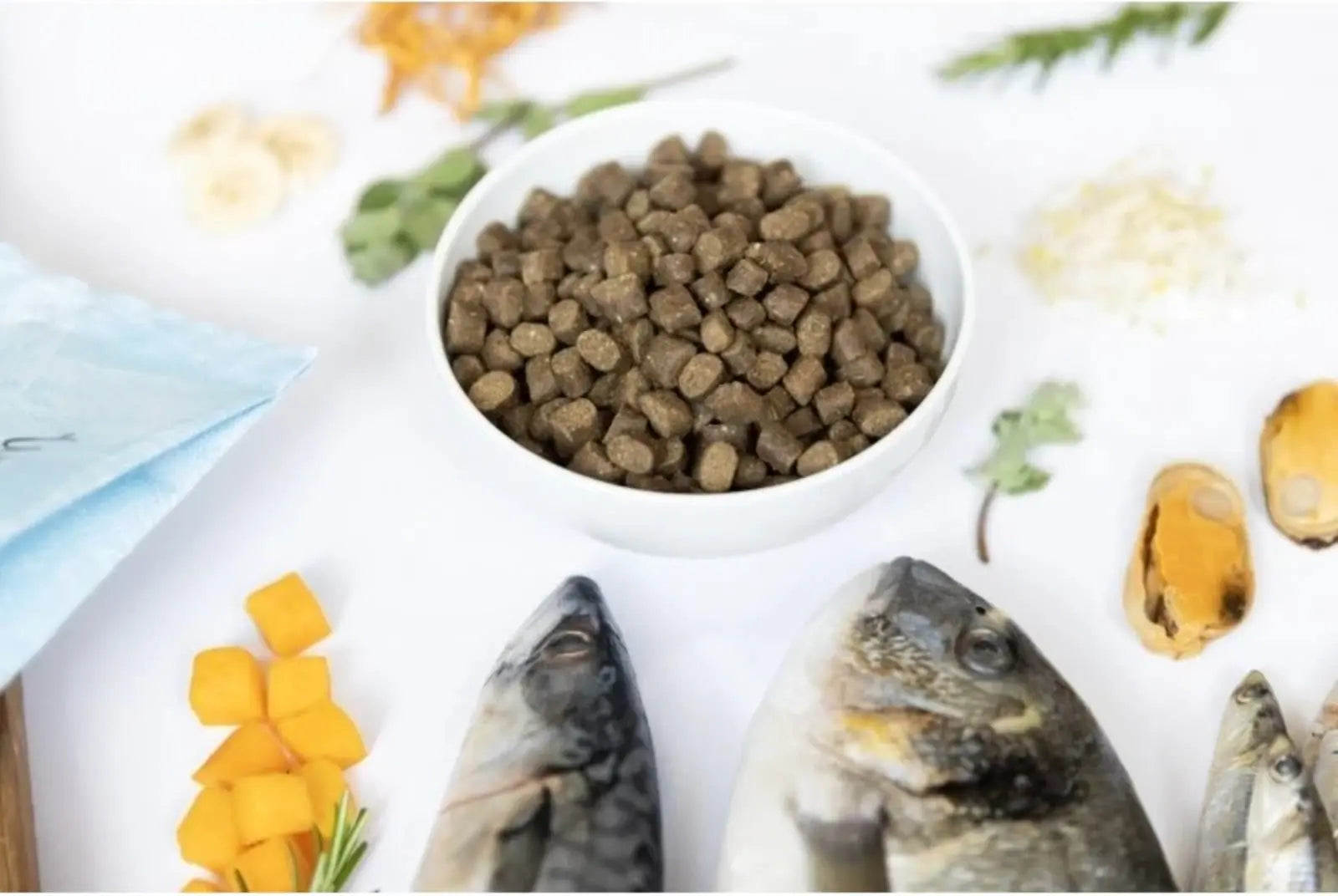 YDOLO Wild Fish – półwilgotna karma dla psów dorosłych z rybami 10kg YDOLO