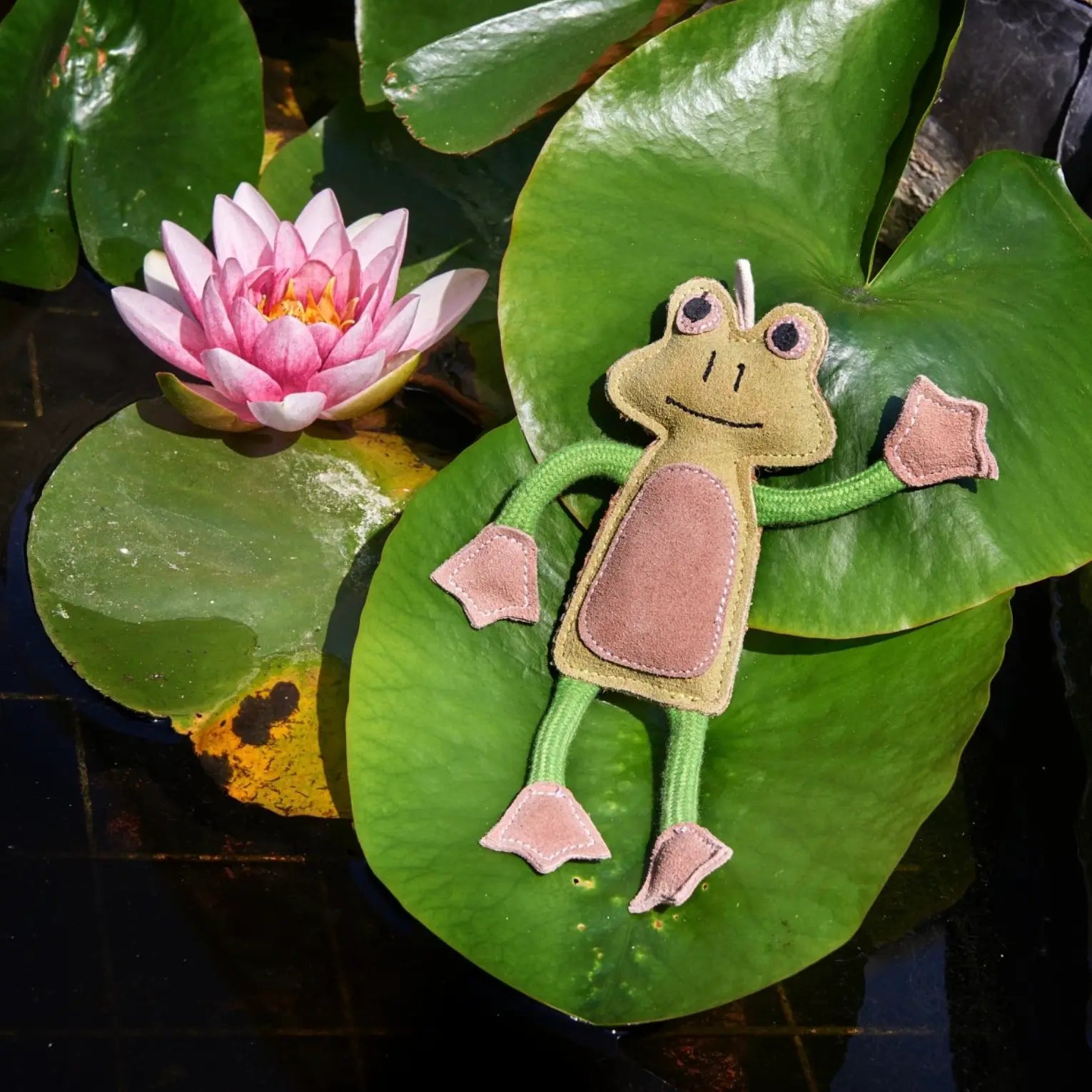 GREEN & WILD'S Francois Le Frog (Żaba) Green & Wild's