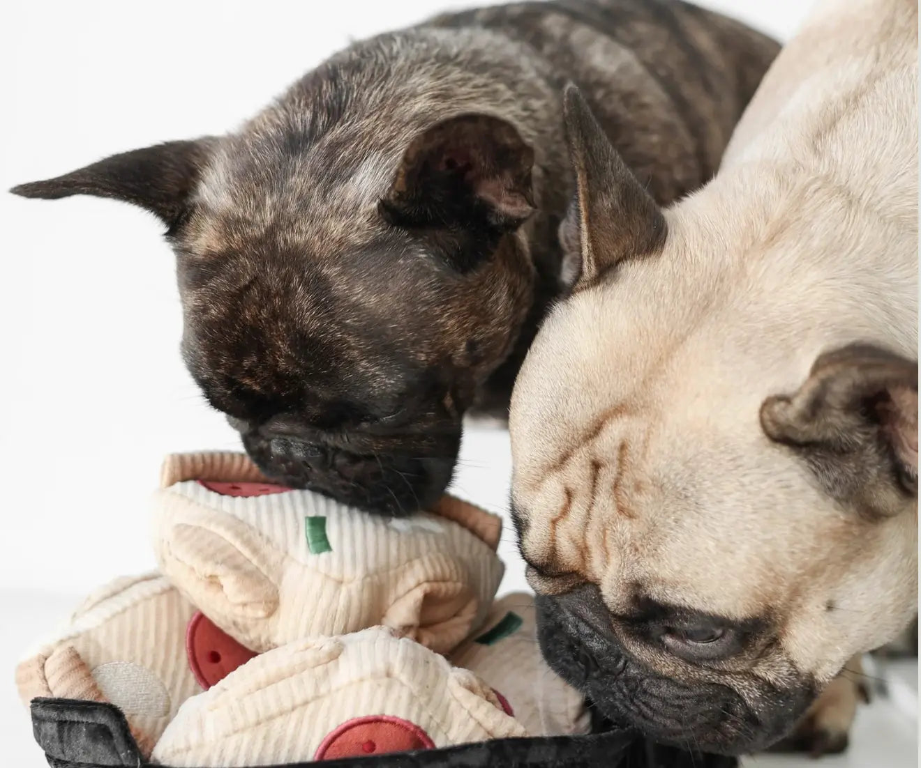 Lambwolf - Pizza 23cm - Zabawka węchowa dla psa