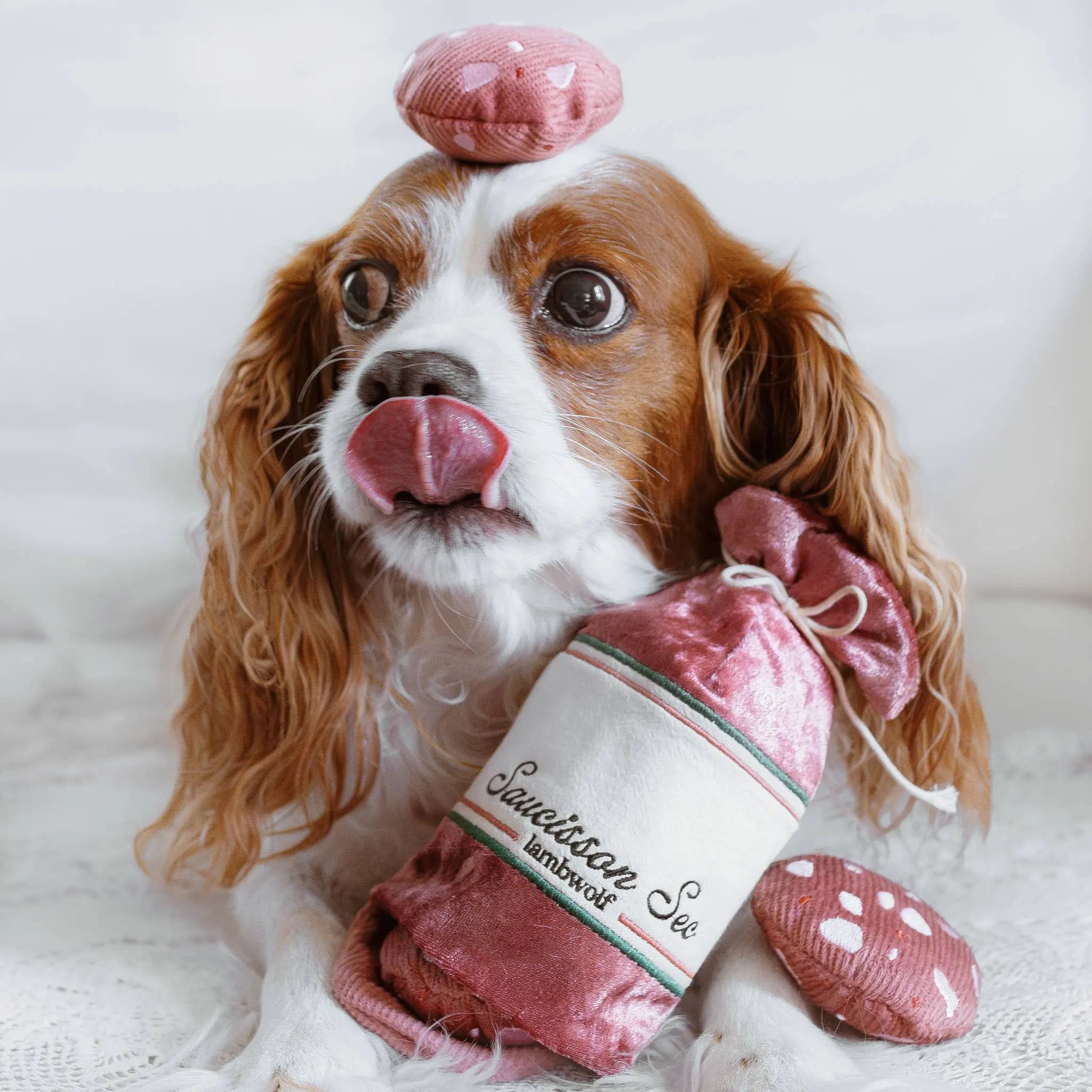 SAUCISSON SEC//Enrichment Toy Lambwolf EU