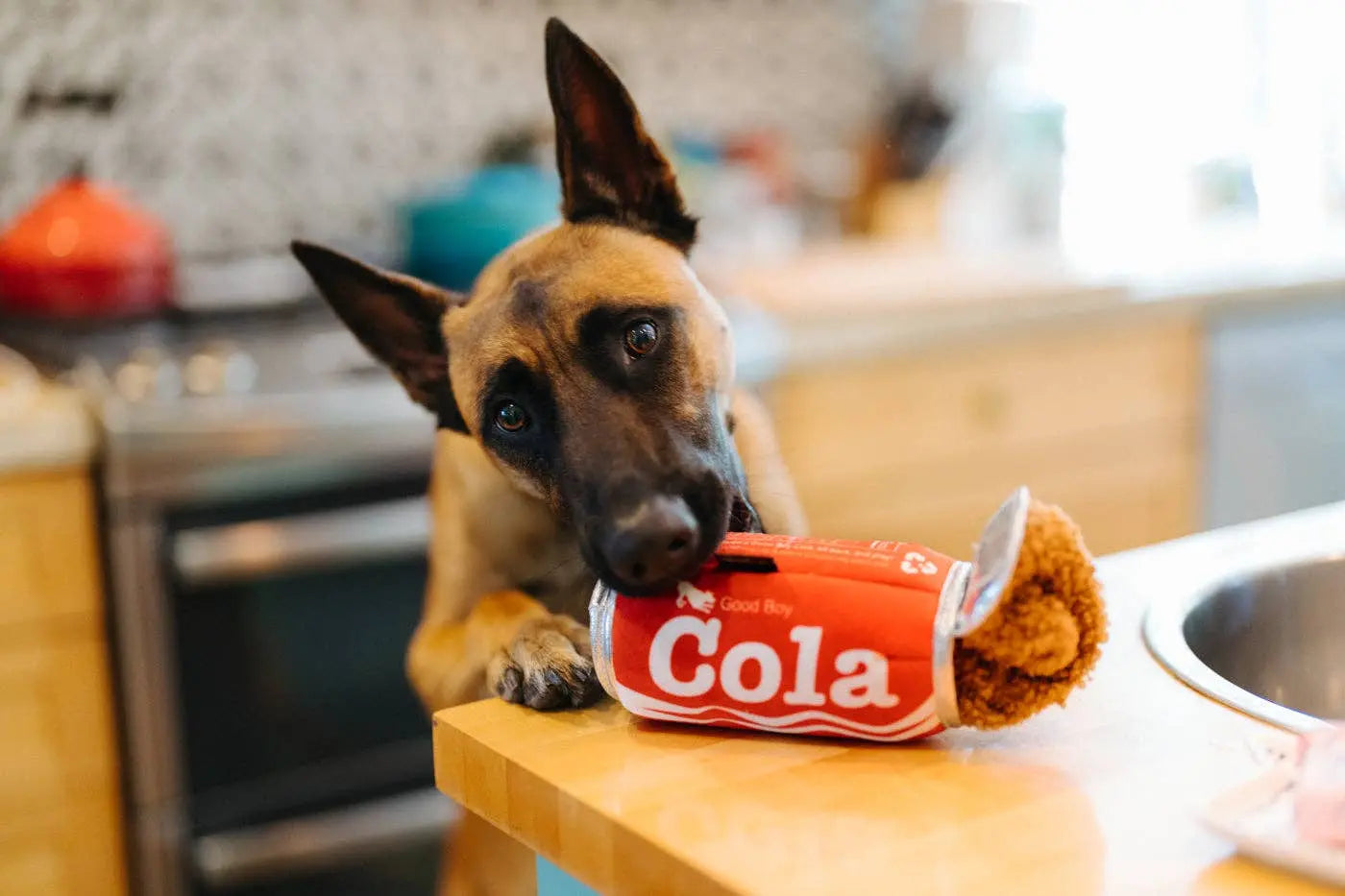 P.L.A.Y Snack Attack Good Boy Cola M Zabawka dla psa P.L.A.Y