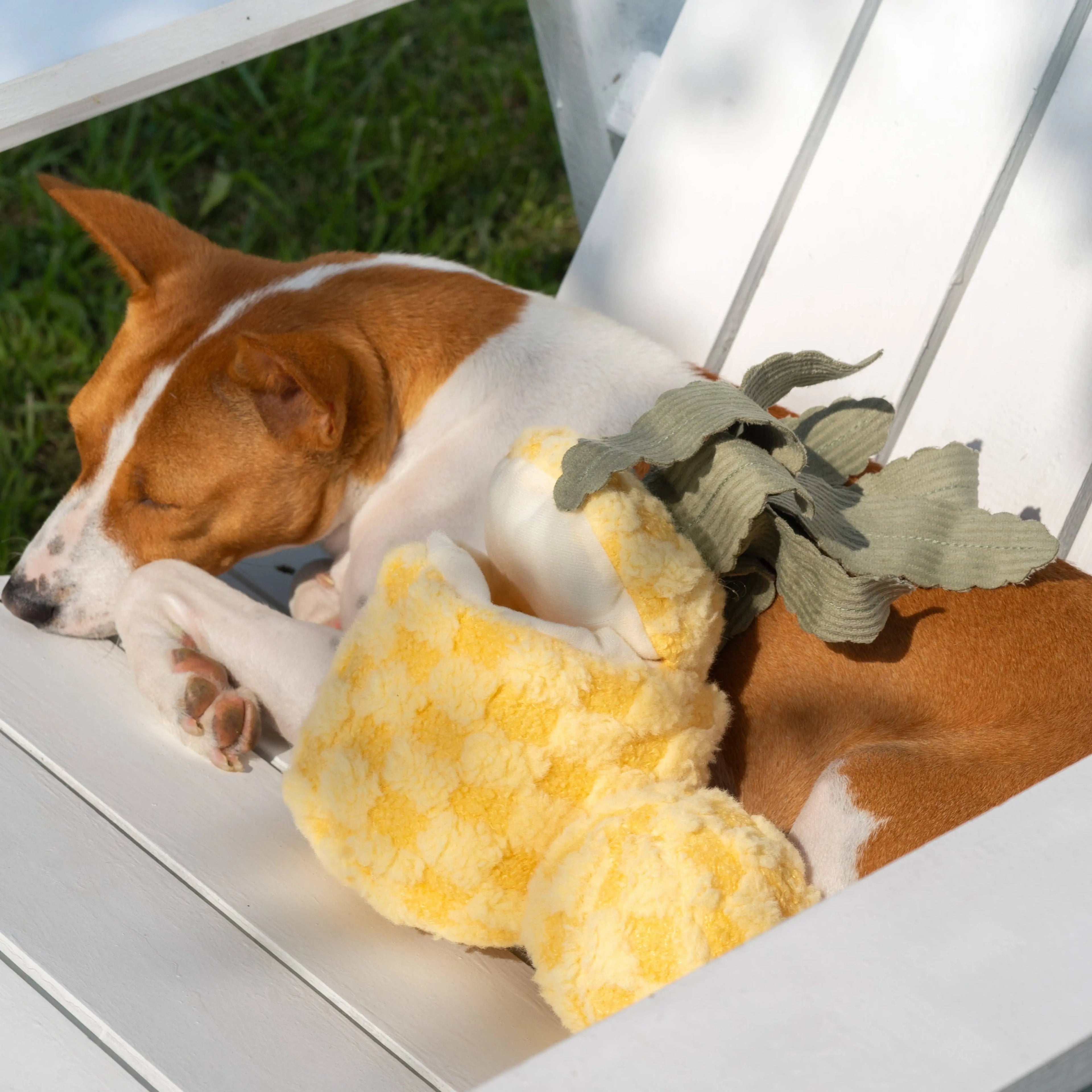 Pineapple // Zabawka edukacyjna dla psów Lambwolf