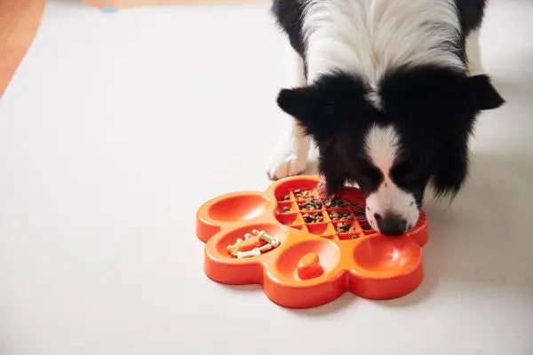 Pet Dream House PAW SLOW FEEDER kolor pomarańczowy Pet Dream House