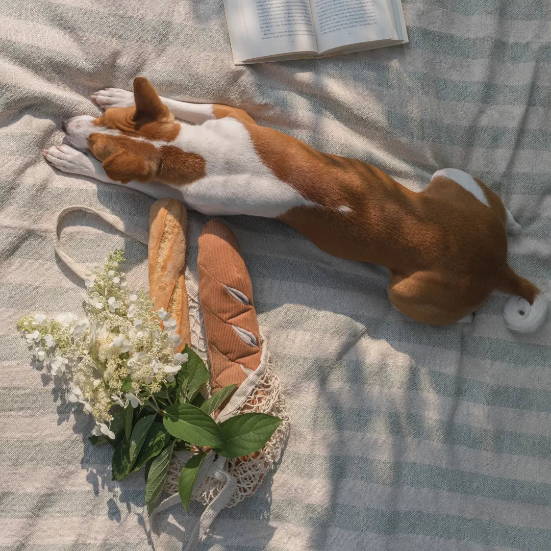 BAGUETTE //Zabawka edukacyjna Lambwolf