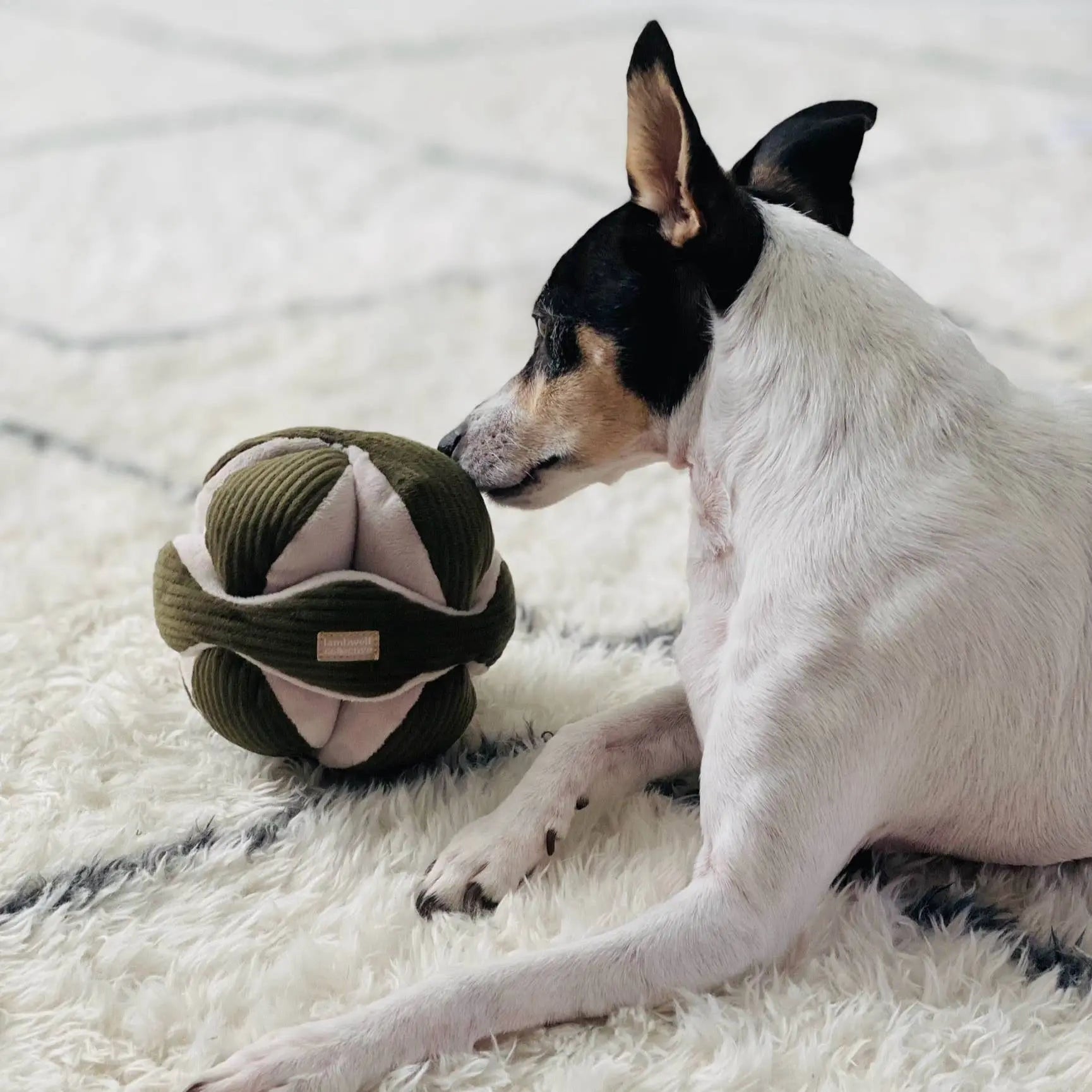 MONTI //Enrichment Toy : Pine Lambwolf