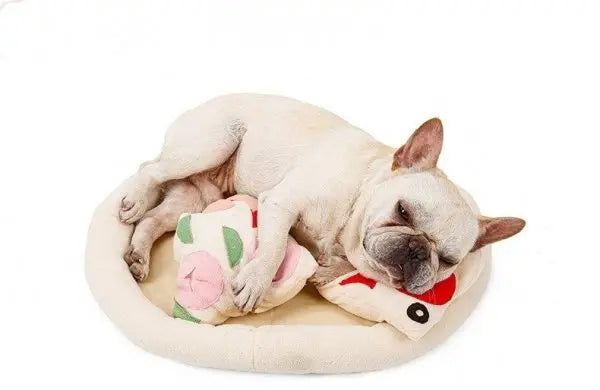 DOGLEMI Mata węchowa PIZZA dla psa i kota