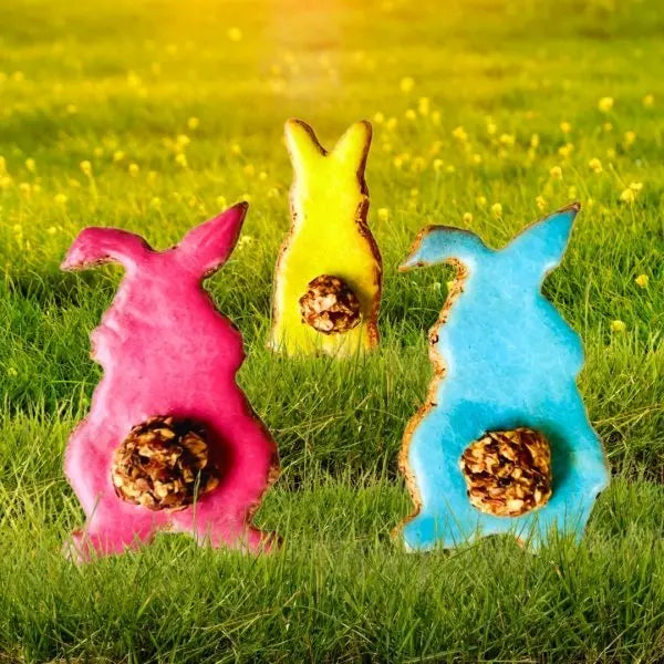 Cooka's Cookies Easter Box SOMEBUNNY LOVES YOU – wielkanocne ciasteczka dla psa 3 szt