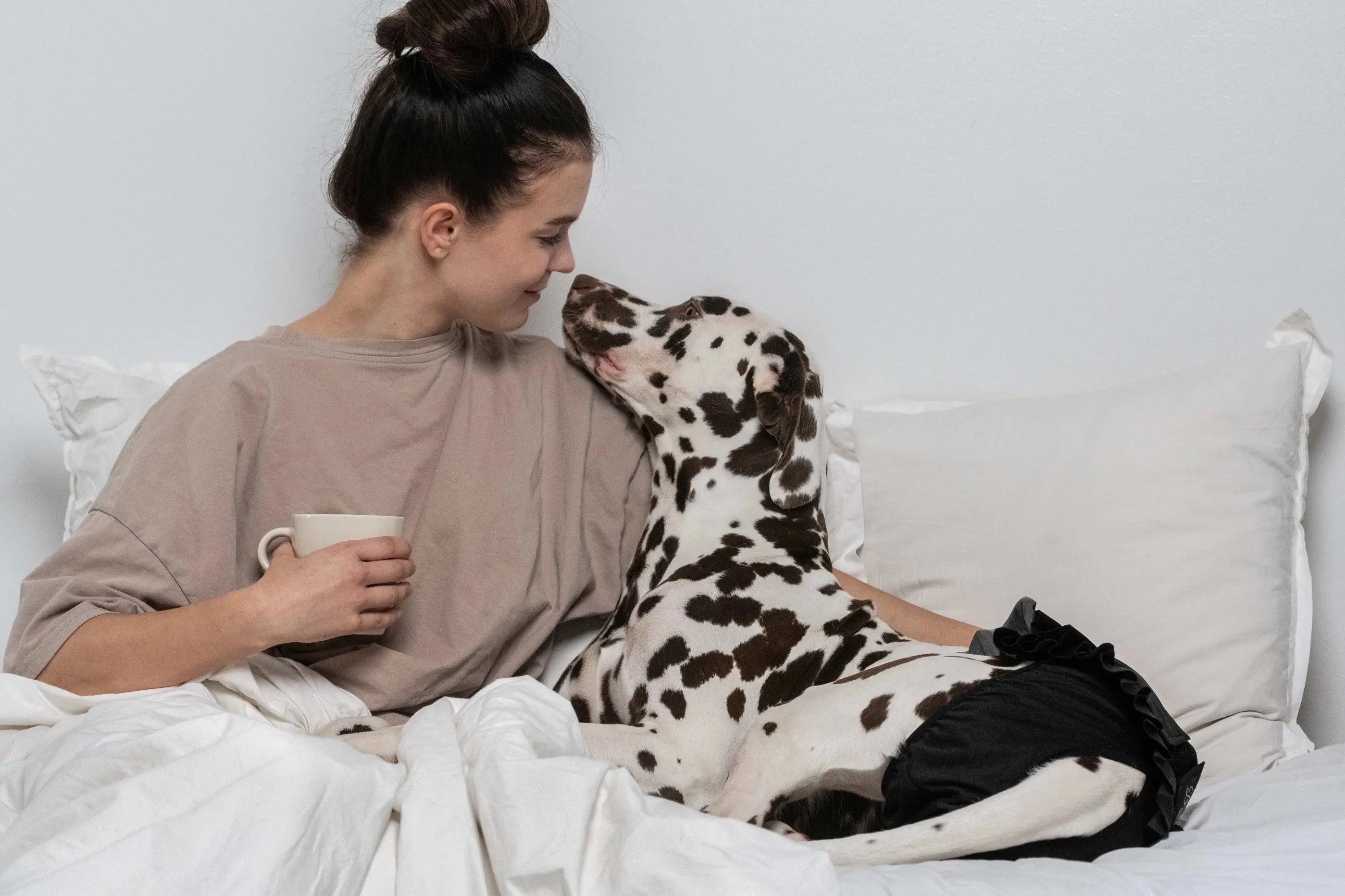 FINNERO Ballerina Dog Hygiene Pants  - Washable, black XS