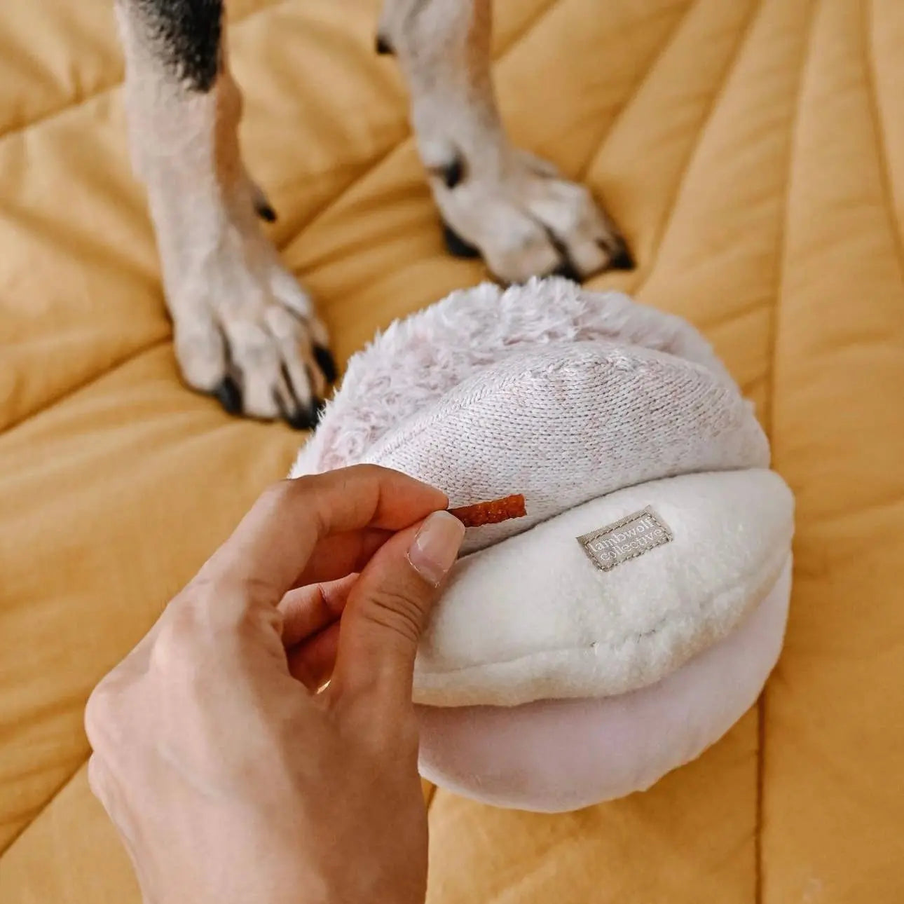 TOTO //Enrichment Toy : Pink Lambwolf