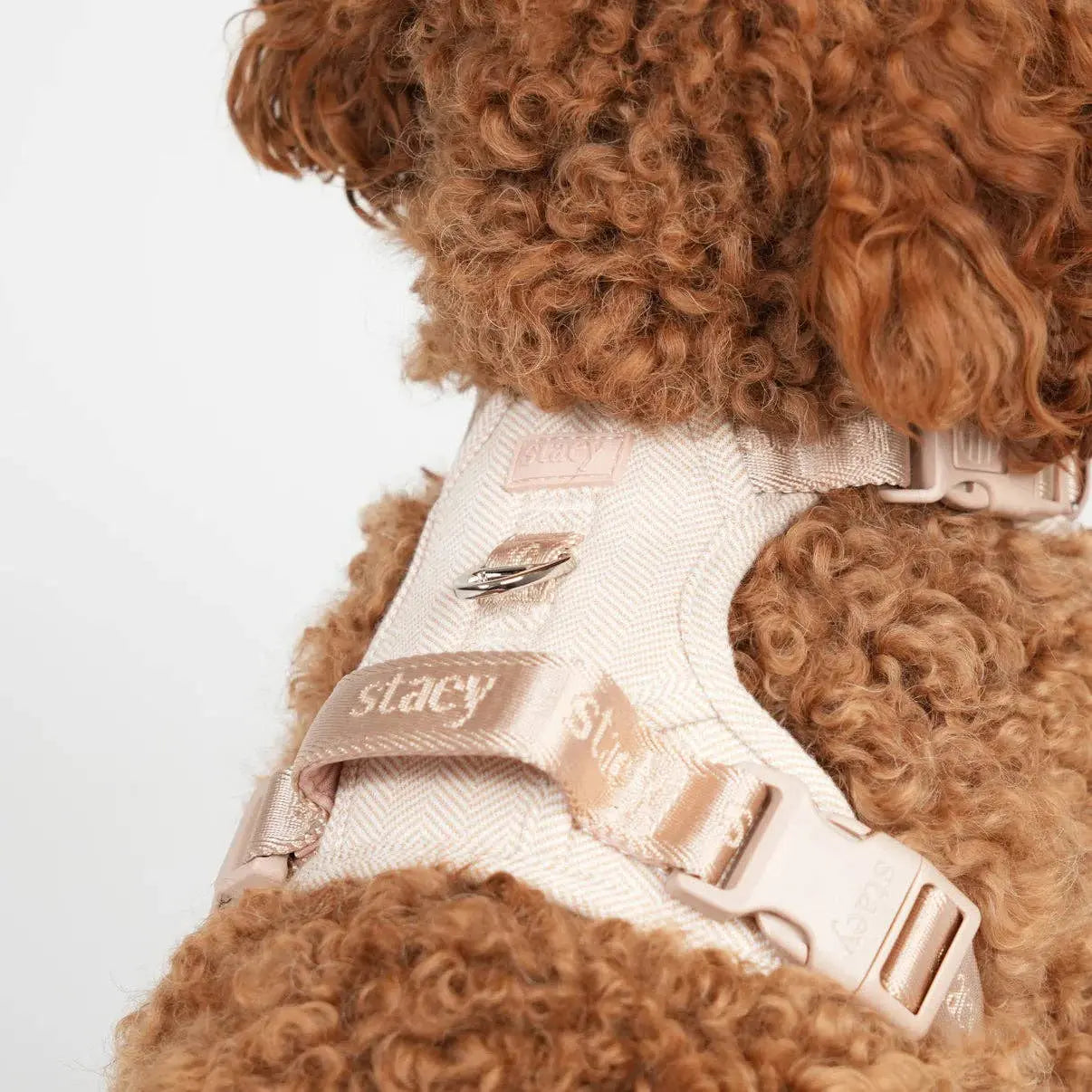 Elma Dog Harness | Light Rose: XL