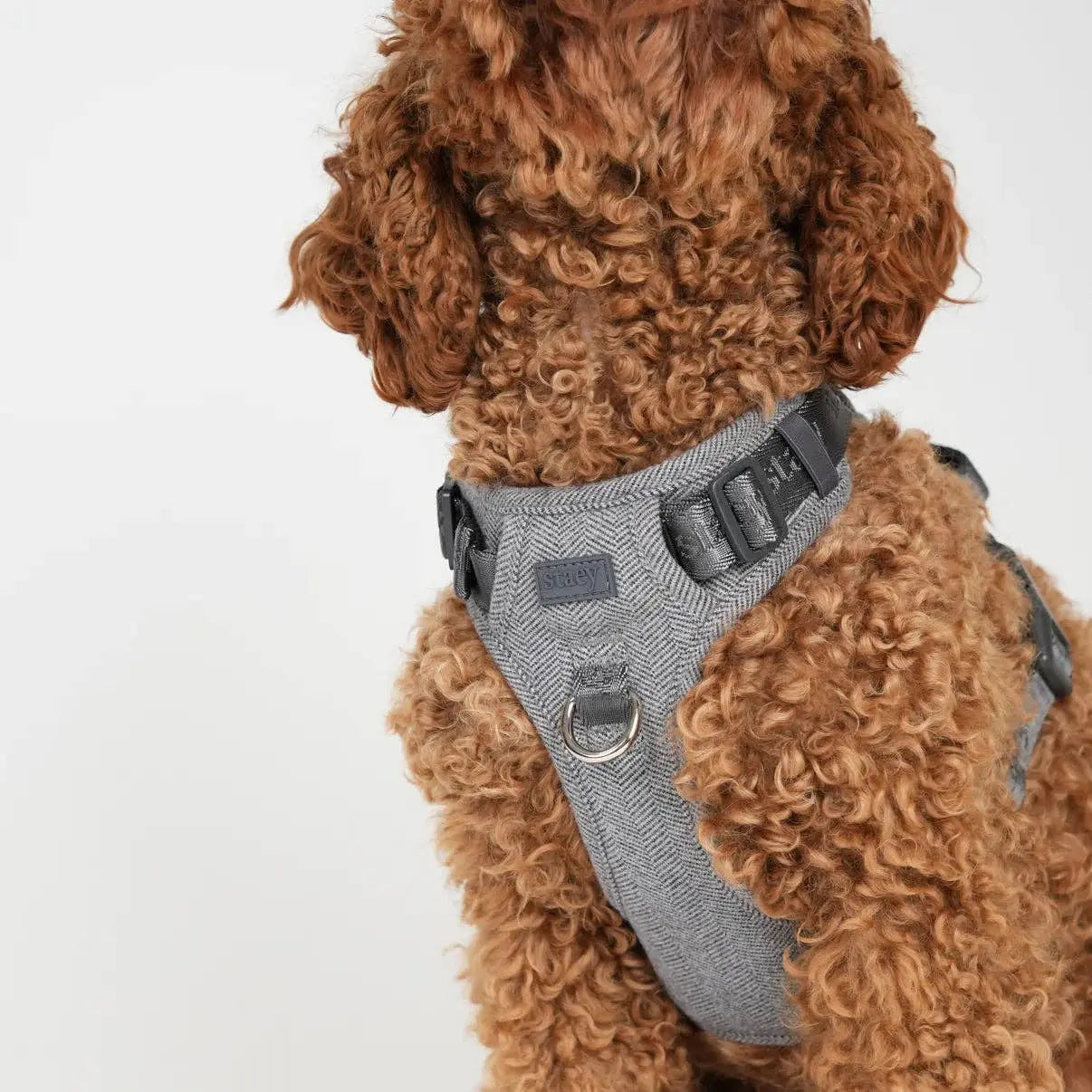 Elma Dog Harness | Dusty Blue: L