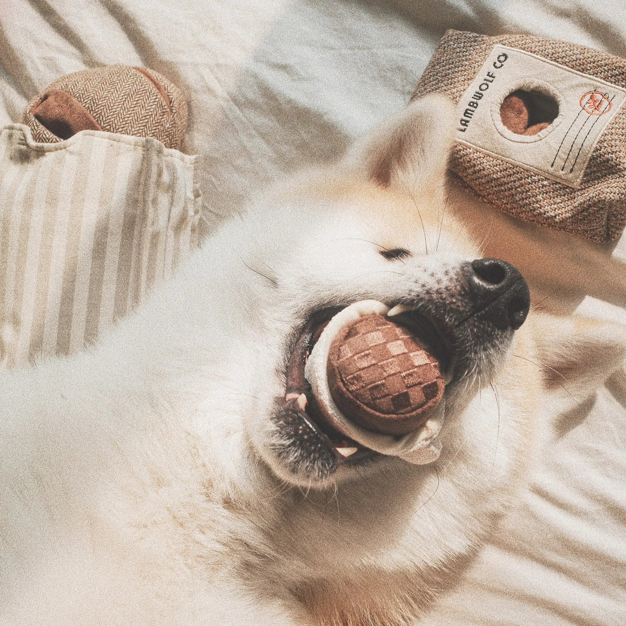 EXPRESSO POP squeaky + snuffle