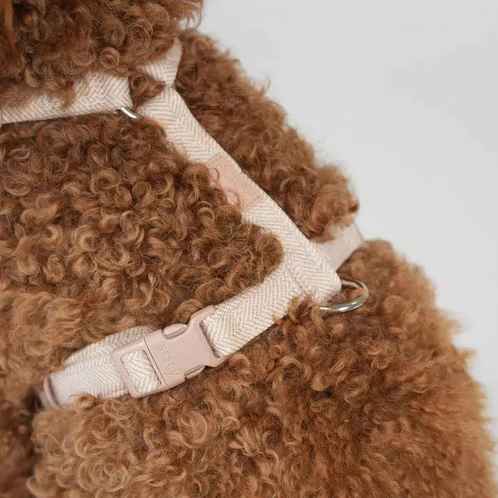 Tara H-Strap Dog Harness | Light Rose: L
