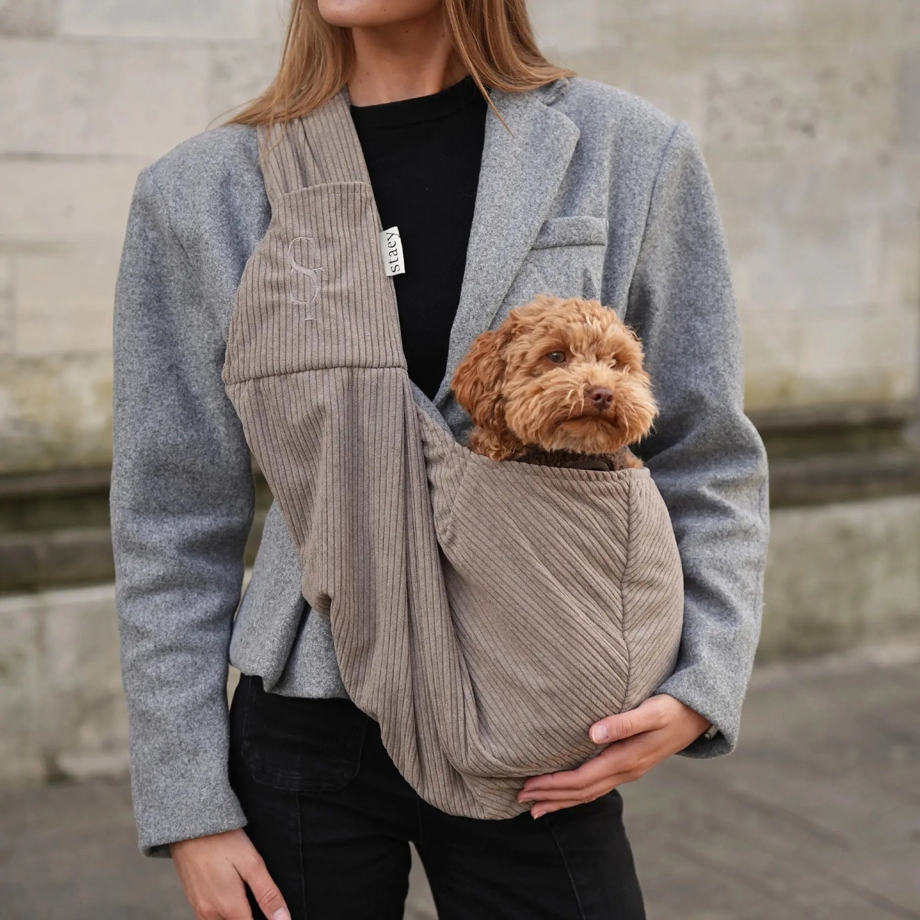Ava Puppy Carrier | Corduroy – stylowa torba dla małych psów