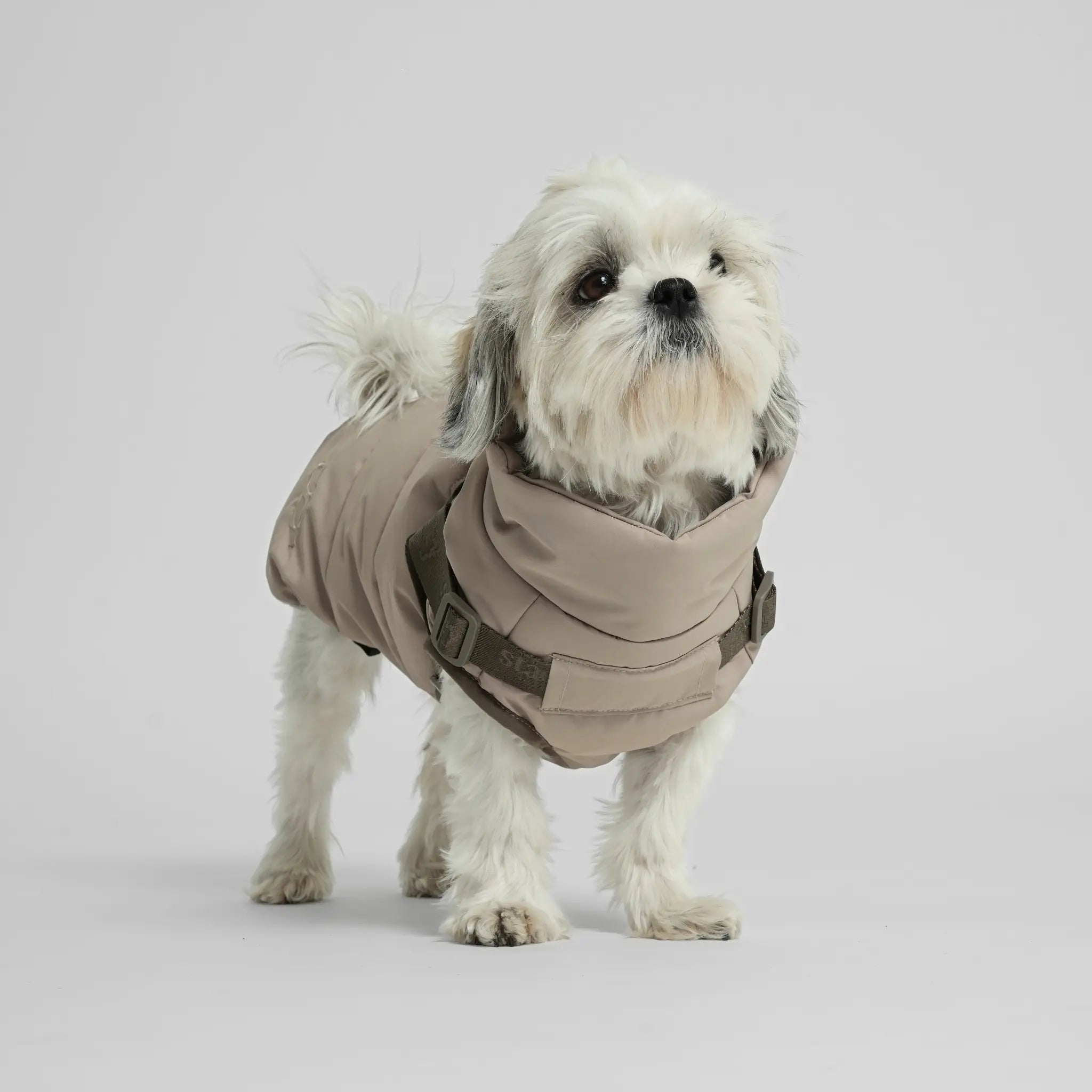 Vera Dog Coat with Harness | Sand: M Staey