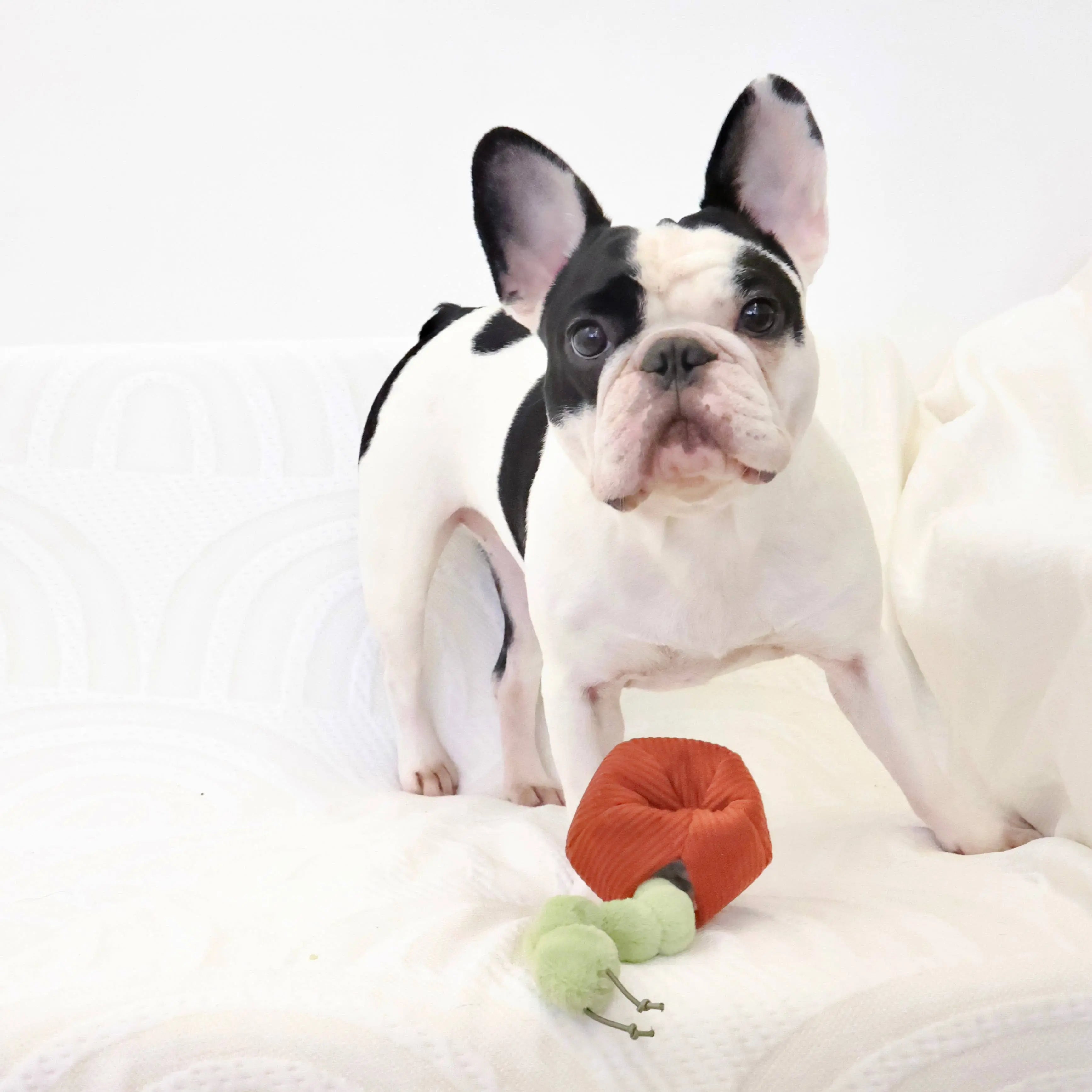 JABŁKO//Enrichment Toy Lambwolf