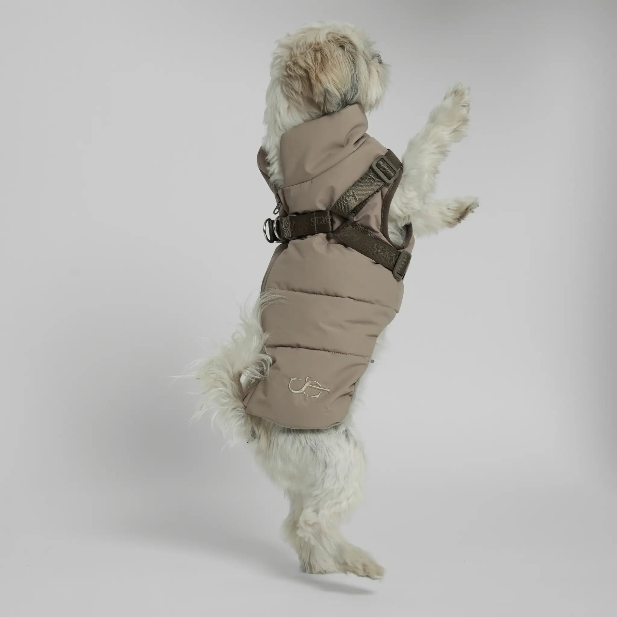 Vera Dog Coat with Harness | Sand: XXS Staey