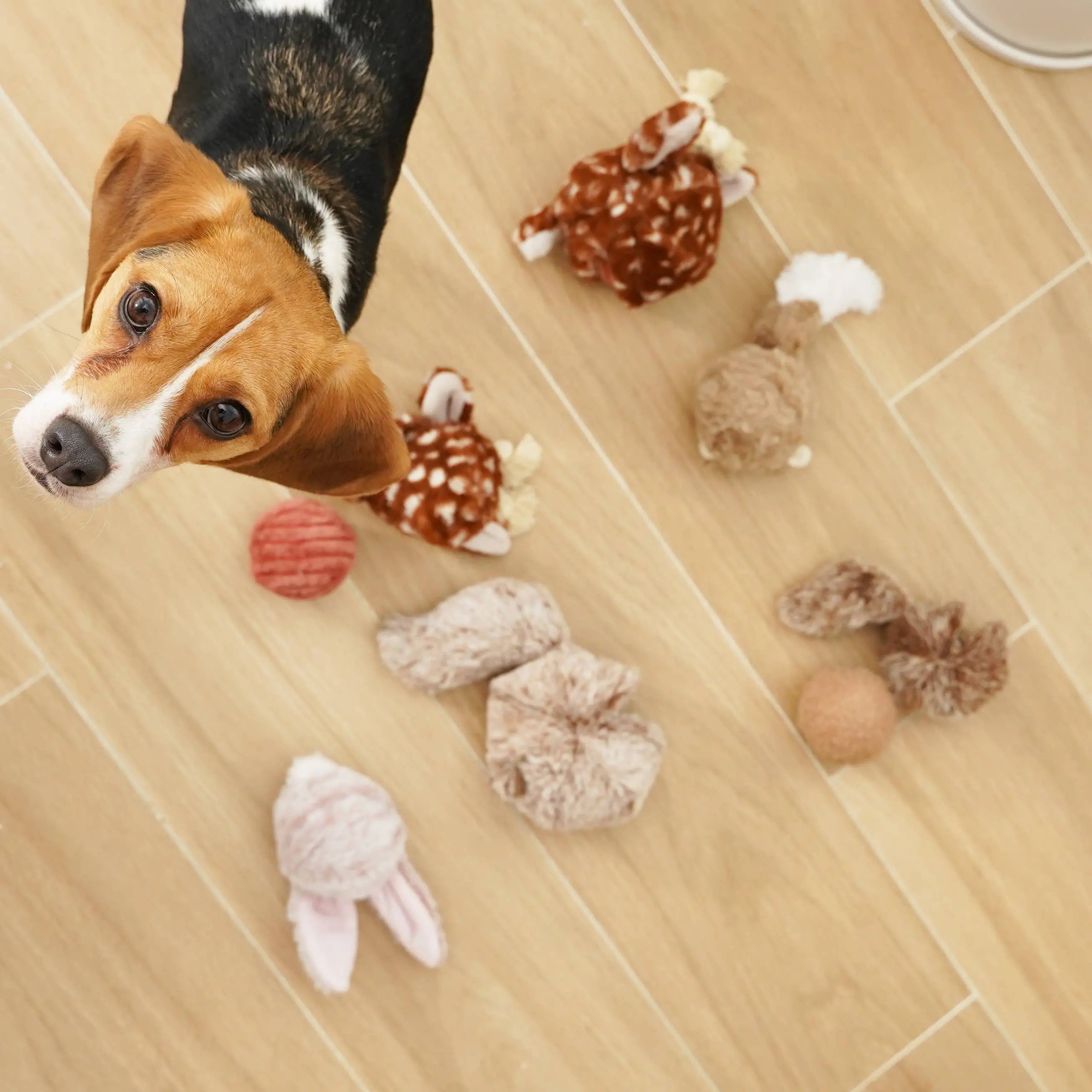 BUNNY POP //Enrichment Toy: Small Lambwolf