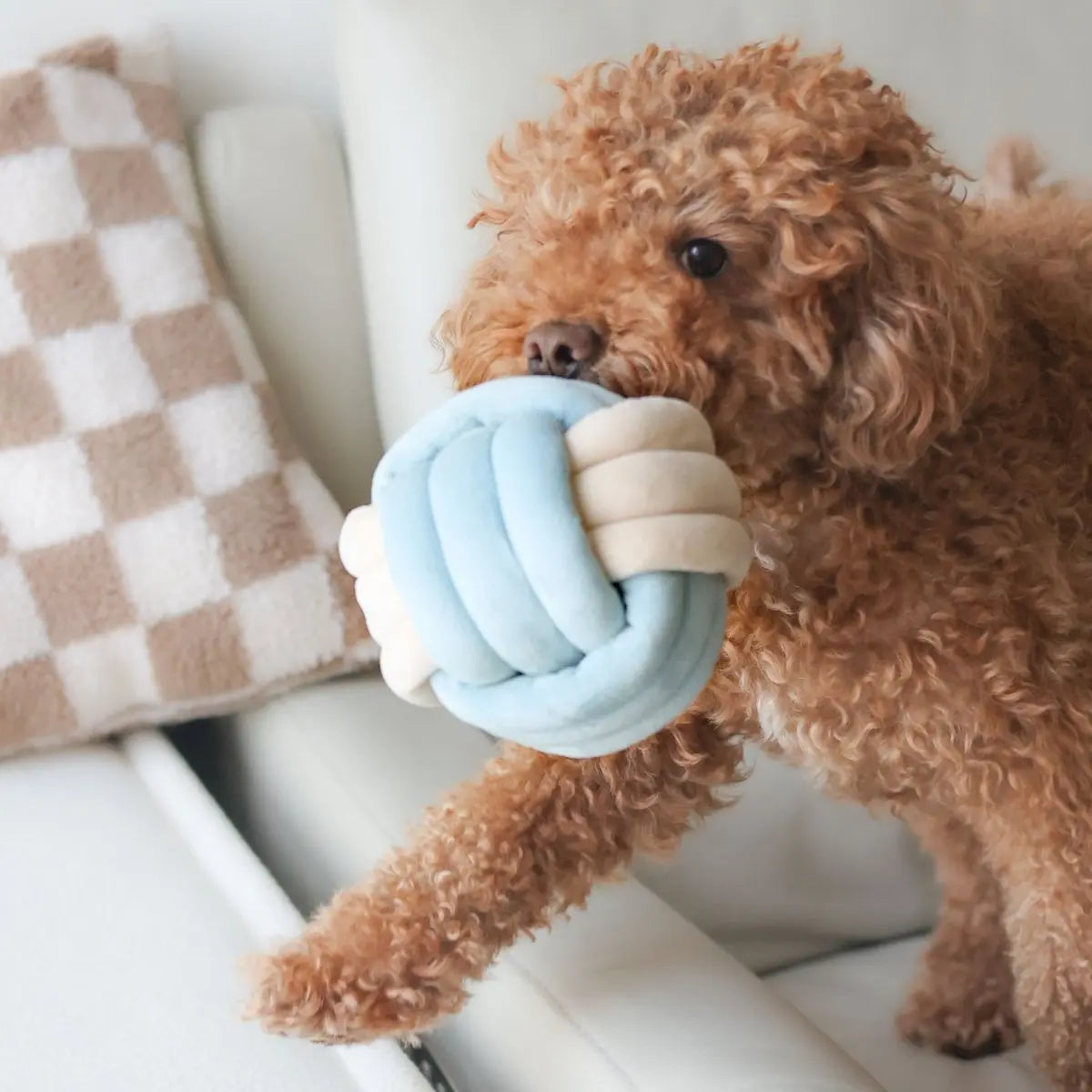 Pups & Bubs SNUFFLE KNOT Supełek zabawka węchowa dla psa i kota