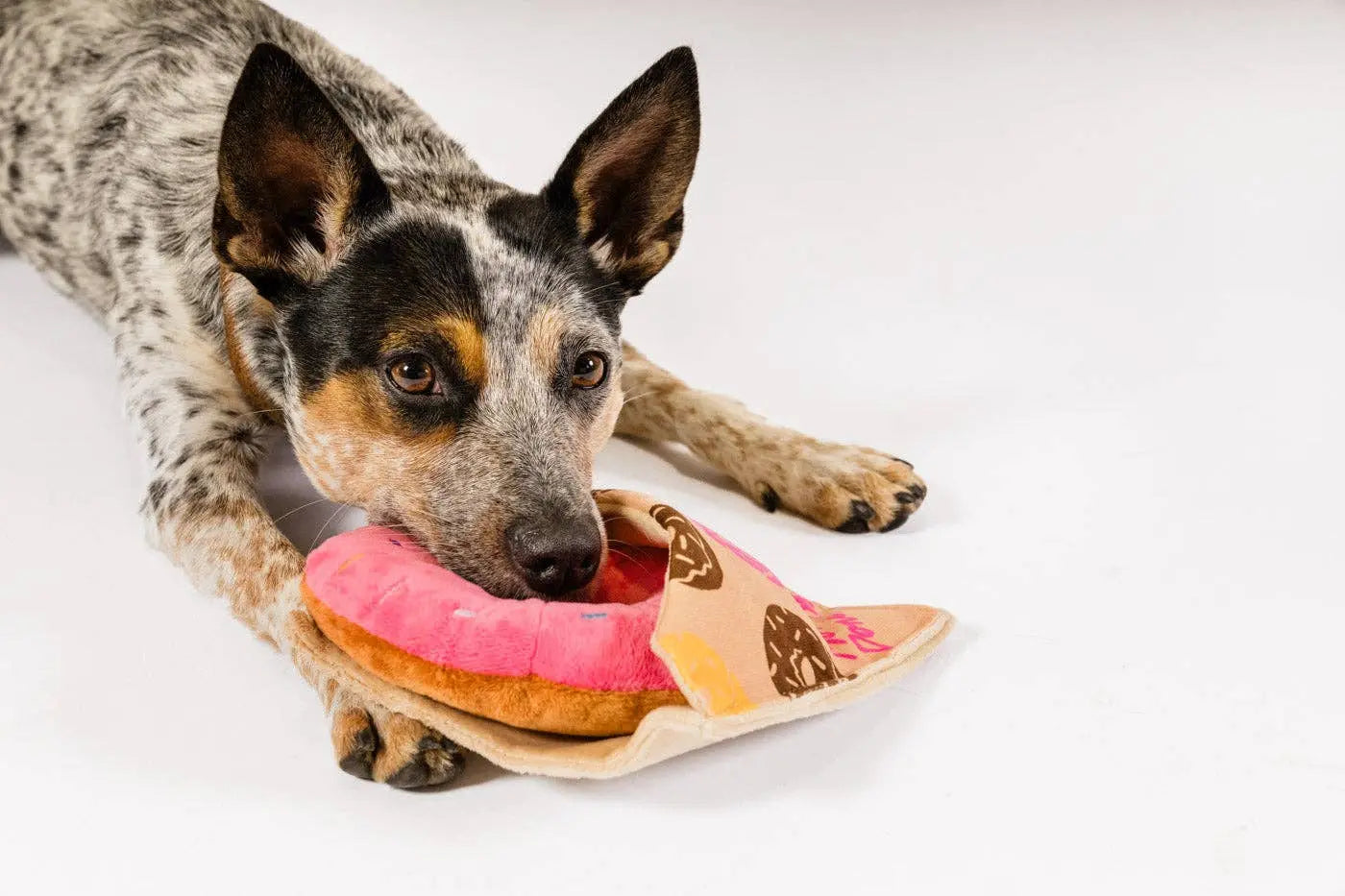 P.L.A.Y Pup Cup Cafe Doughboy Donut: XS