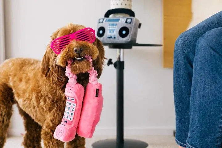 P.L.A.Y 80s Classics Paw Talk //Klasyczna zabawka retro P.L.A.Y