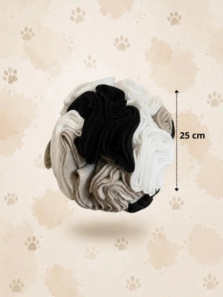 Kula węchowa Cookie rozmiar L – średnica 25 cm