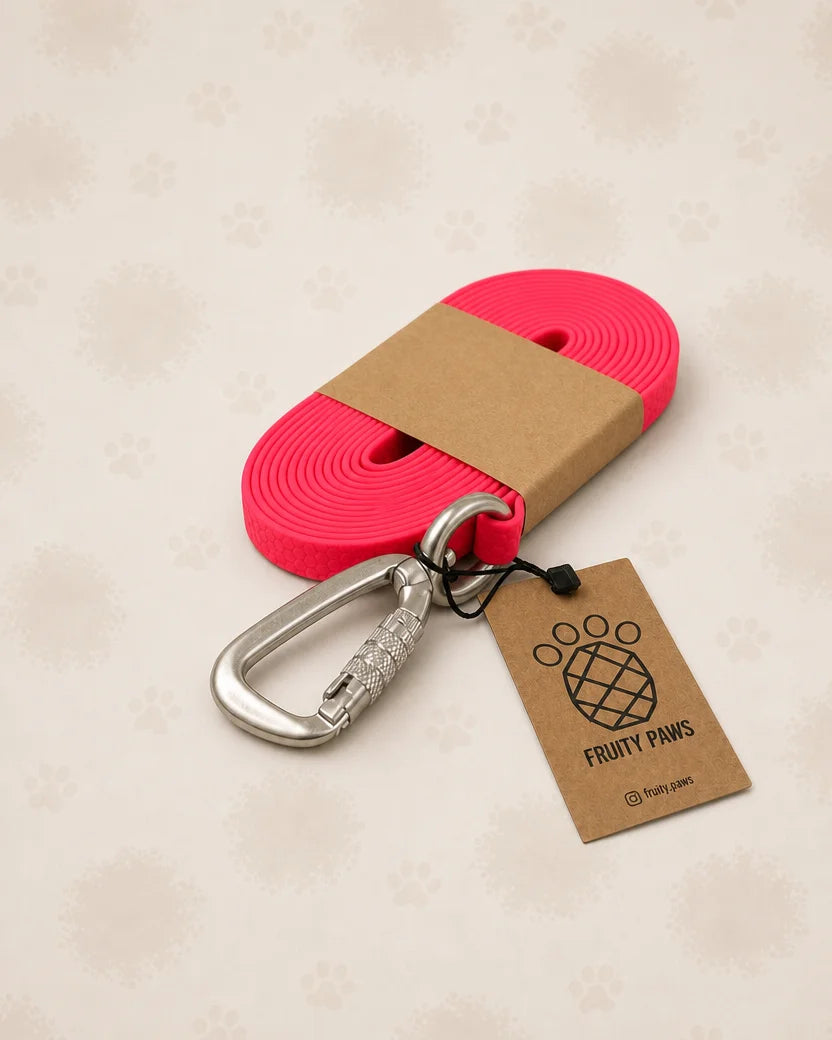 Linka treningowa dla psa 5m | 13mm RASPBERRY HEXA/ KARABIŃCZYK ALUMINIOWY Z BLOKADĄ (srebrny)