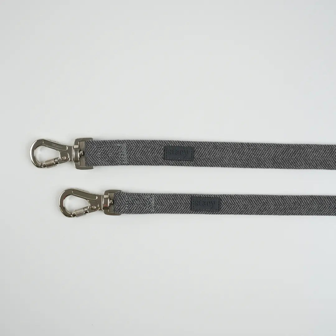Dog Leash Elma | Dusty Blue