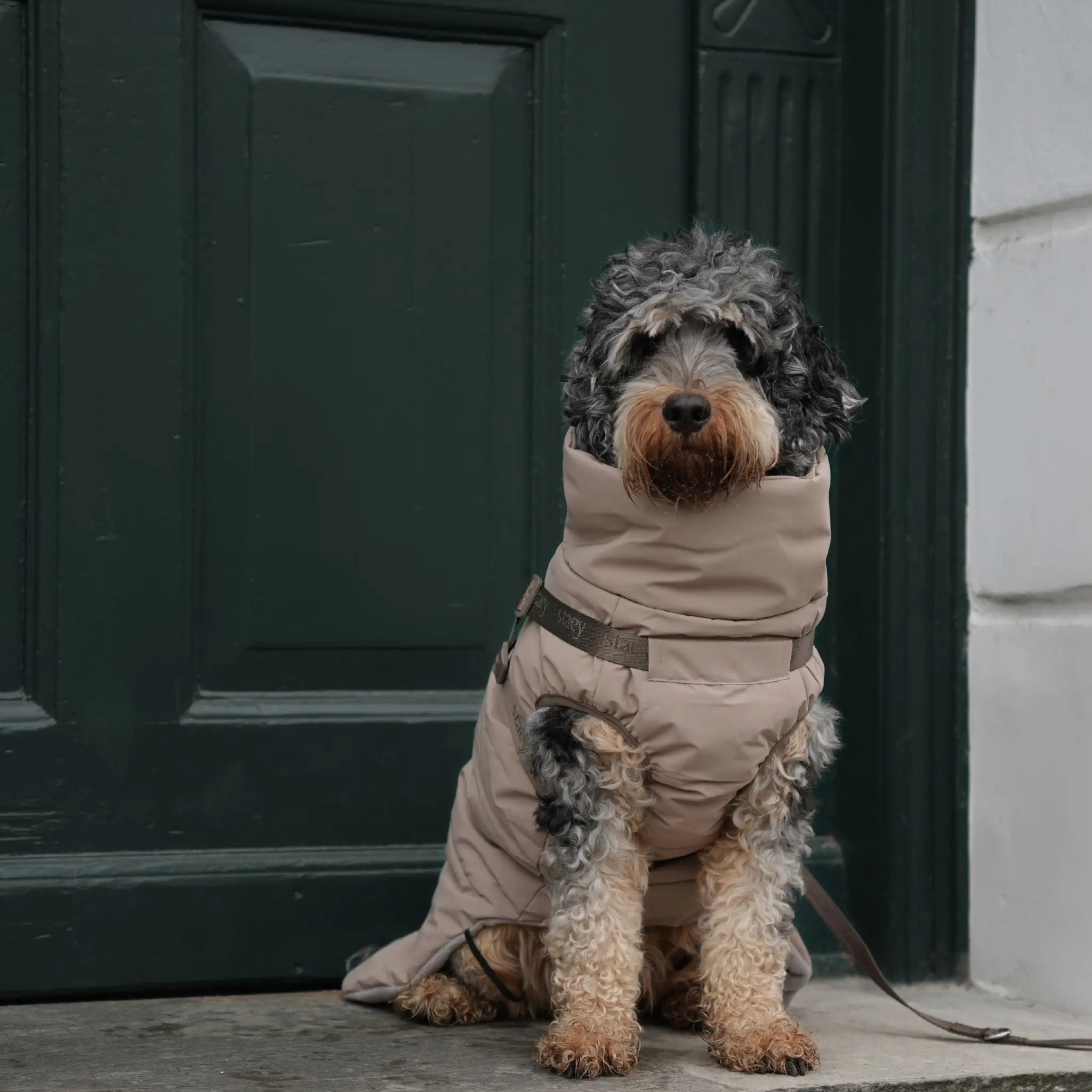 Vera Dog Coat with Harness | Sand: XS Staey