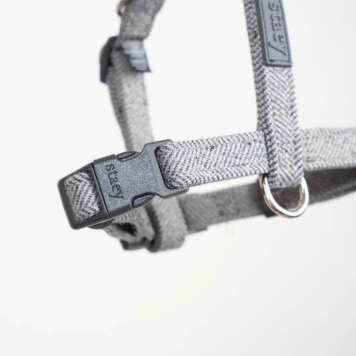Tara H-Strap Dog Harness | Dusty Blue: M