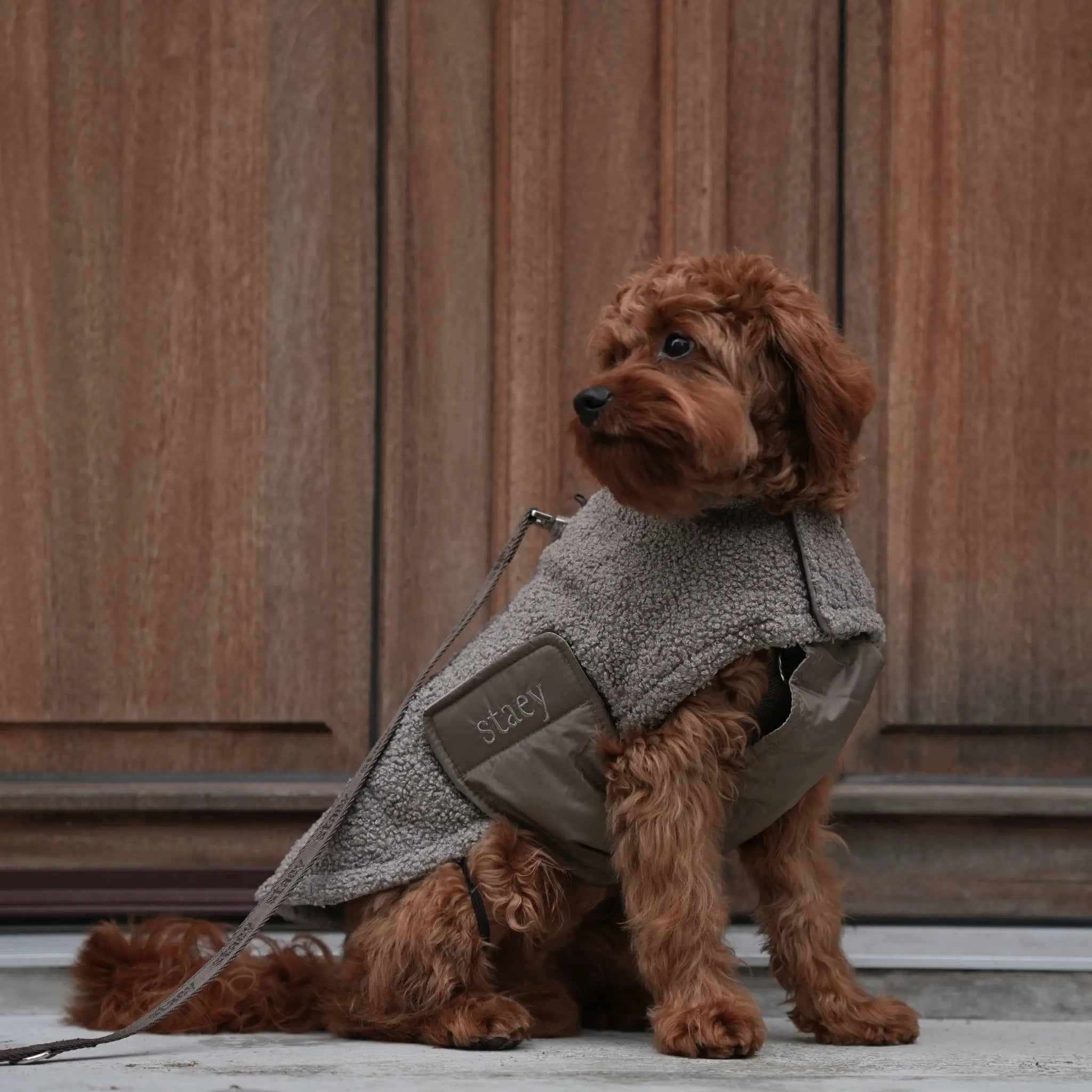 Dog Coat Teddy | Taupe: XL Staey