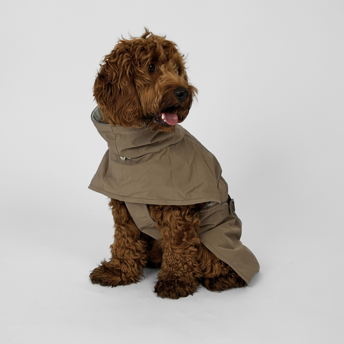 Uma Raincoat | Taupe – Płaszcz przeciwdeszczowy dla psa