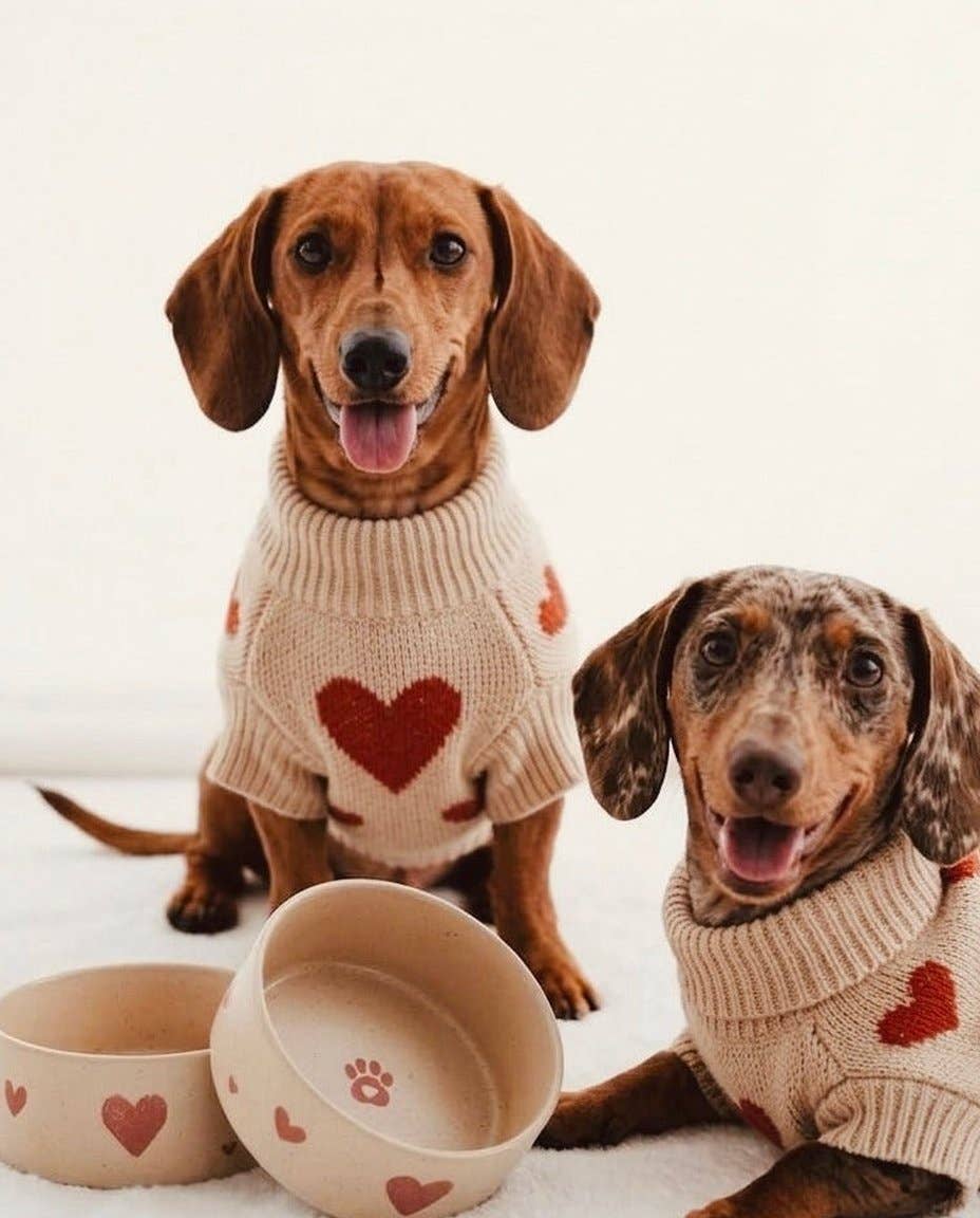 Cozy Hearts Stoneware Pet Bowl 14cm