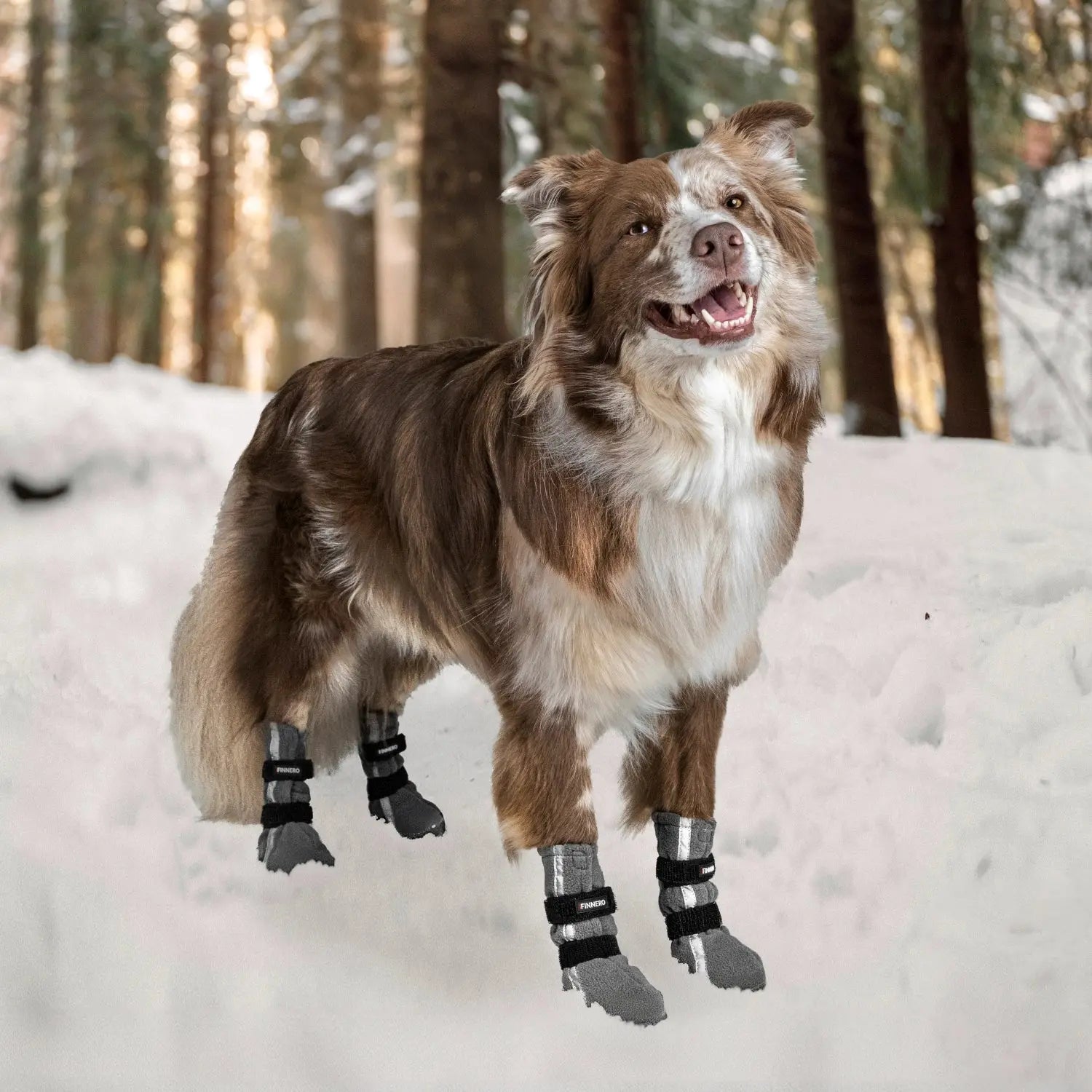 FINNERO Halla Reflective Booties For Dogs 4pcs/pac, grey, XL