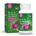 Pokusa Milk Thistle Extract 120tbl. - preparat z ostropestu, wspomaga i regeneruje wątrobę psa i kota Pokusa For Health