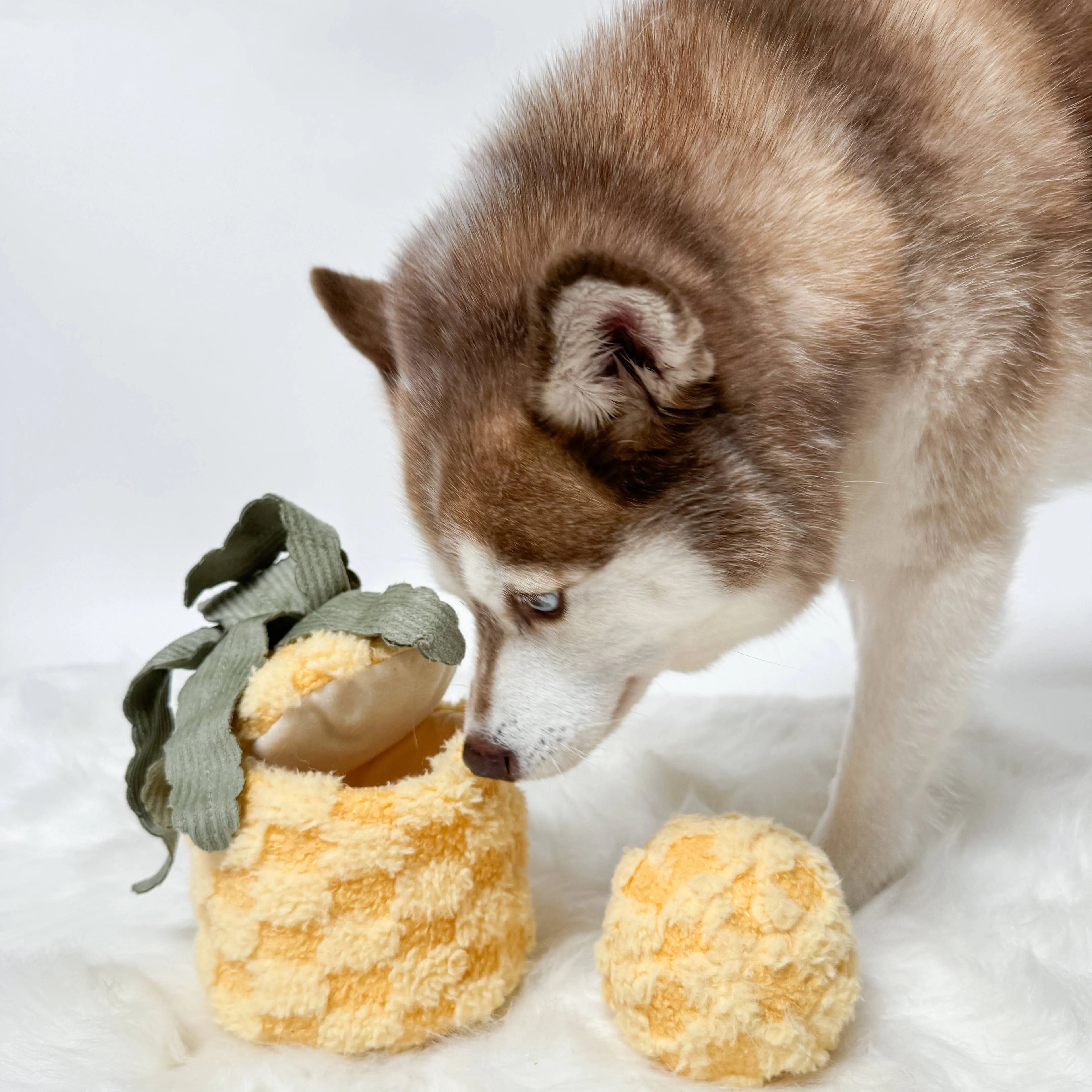Pineapple // Zabawka edukacyjna dla psów Lambwolf