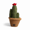Activity Toy Pawtanic Garden - Cactus