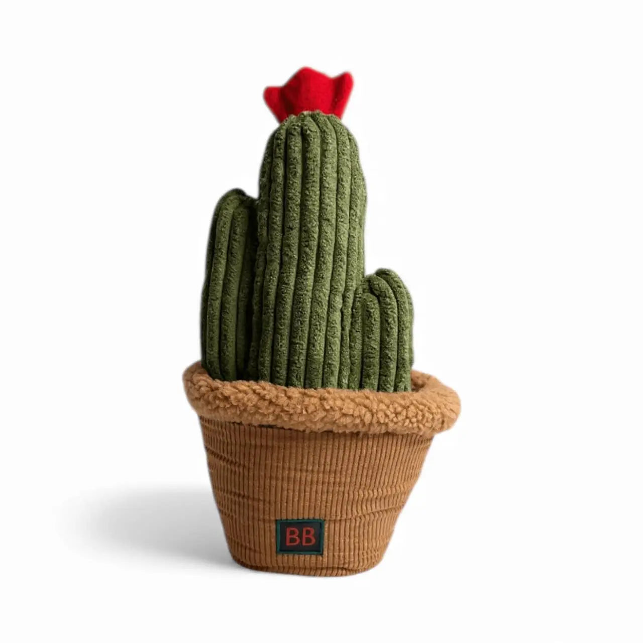 Activity Toy Pawtanic Garden - Cactus