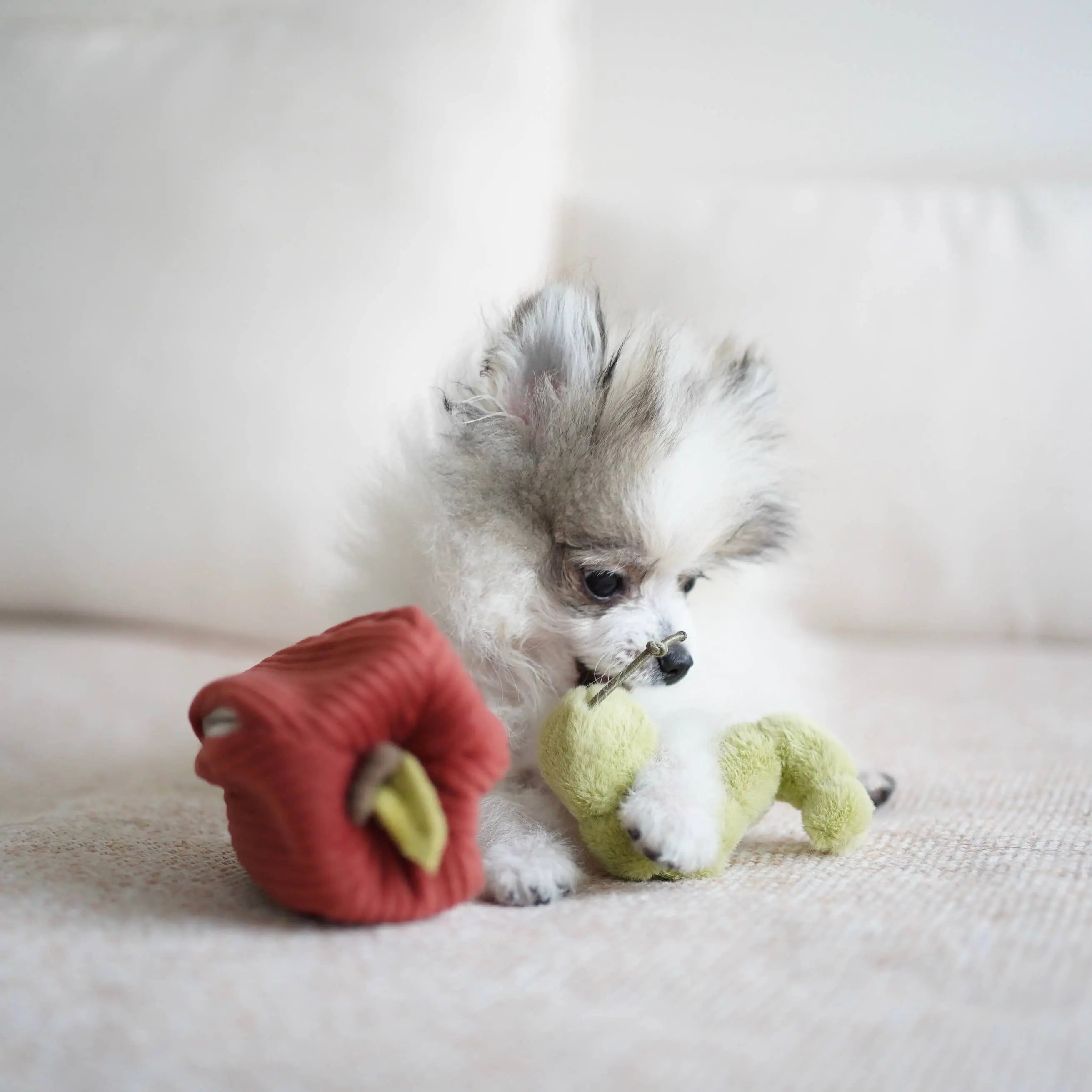 JABŁKO//Enrichment Toy Lambwolf