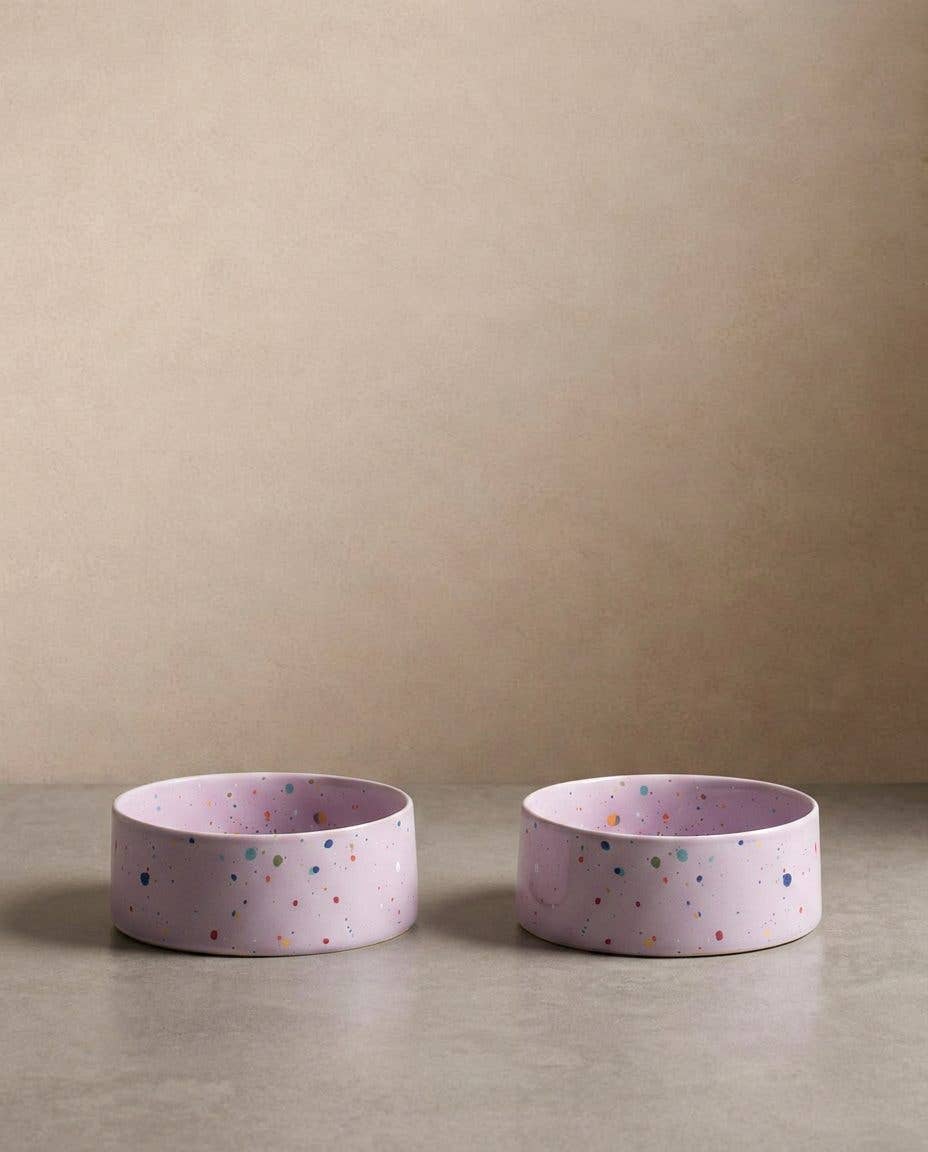 New Party Pet Bowl 14cm