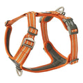 DOG Copenhagen Comfort Walk Air 3.0 – szelki dla psa, Orange Sun – packshot produktu na białym tle