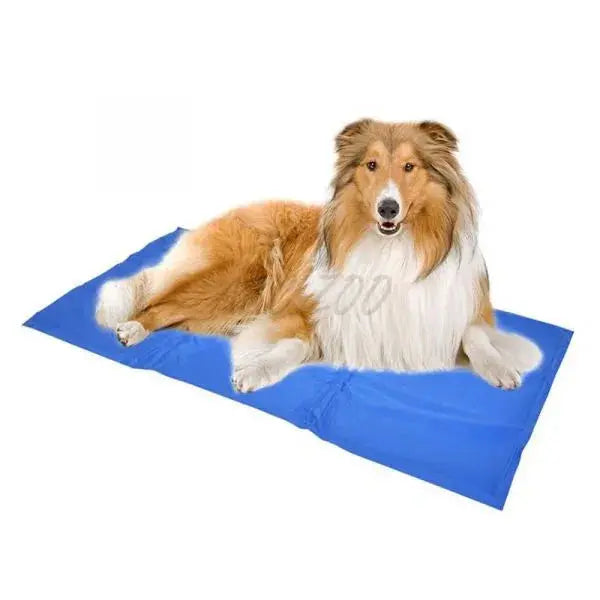 DUVO+ Cooling Mat mata chłodząca dla psów L 90 x 50 cm