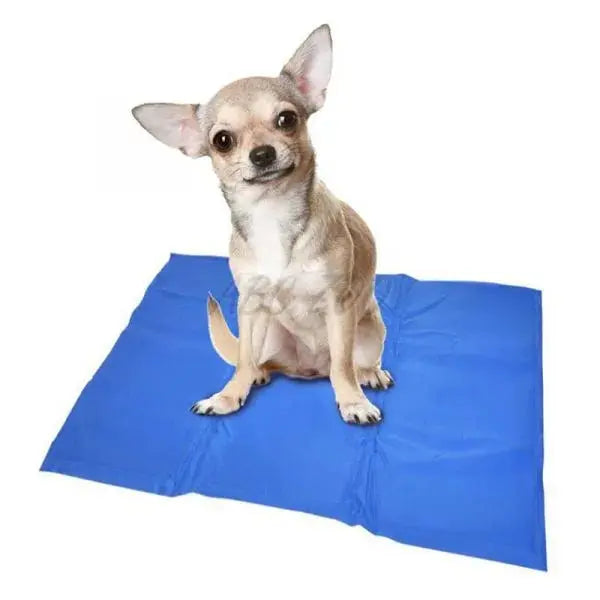 DUVO+ Cooling Mat mata chłodząca dla psów M 50 x 65 cm