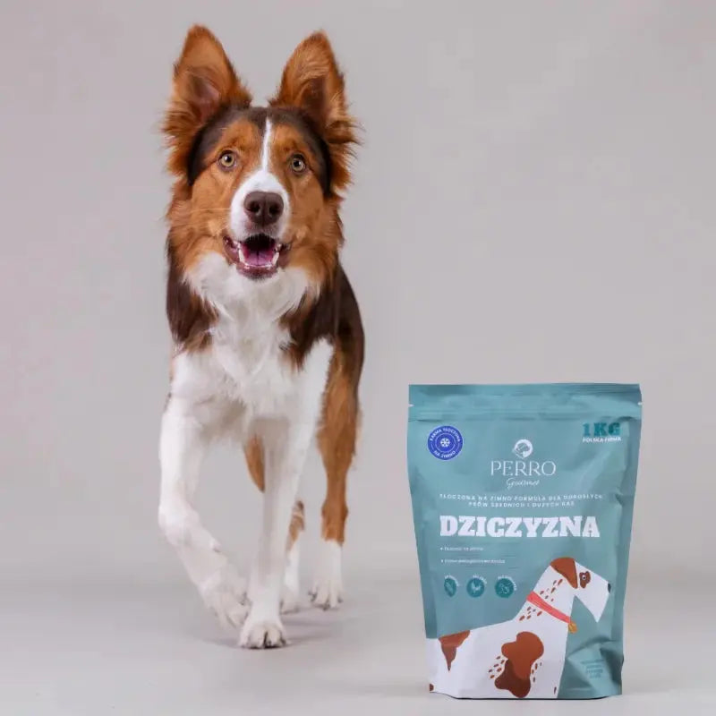 Karma tłoczona na zimno PERRO Gourmet Dziczyzna – formuła dla psów dorosłych średnich i dużych ras 9kg