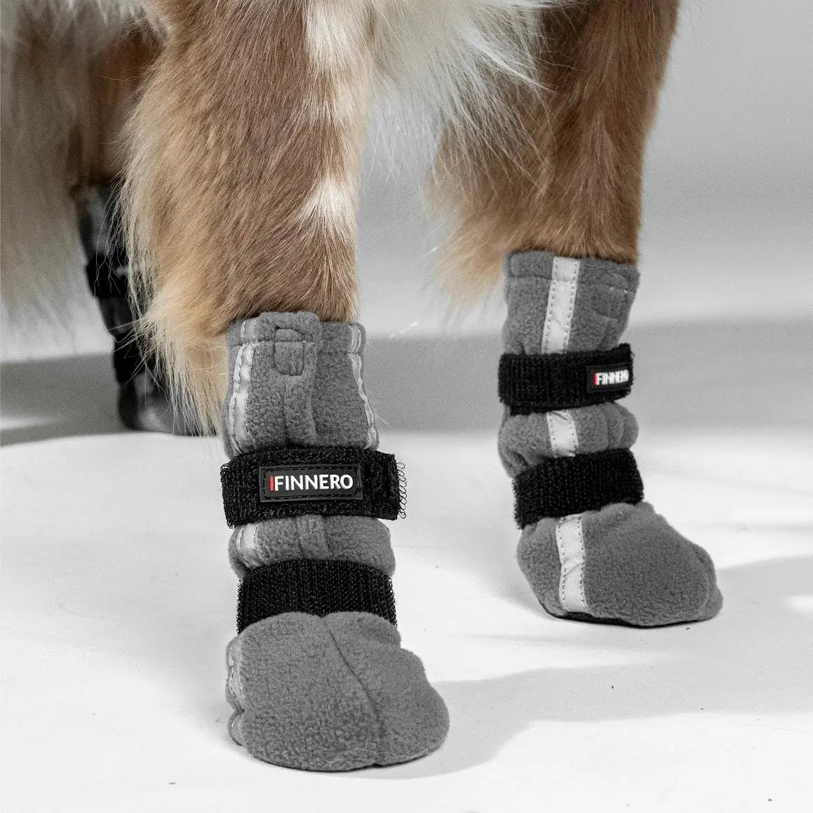 FINNERO Halla Reflective Booties For Dogs 4pcs/pac, grey, XL